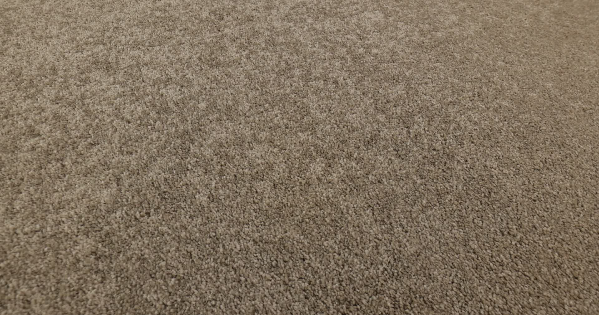 BASIC RULES KHAKI 360PROD