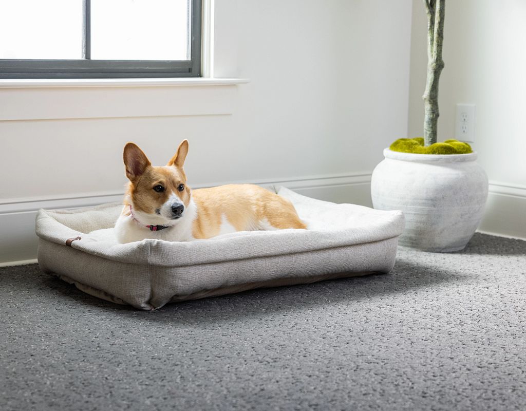 Ultra Durable And Pet Friendly Flooring