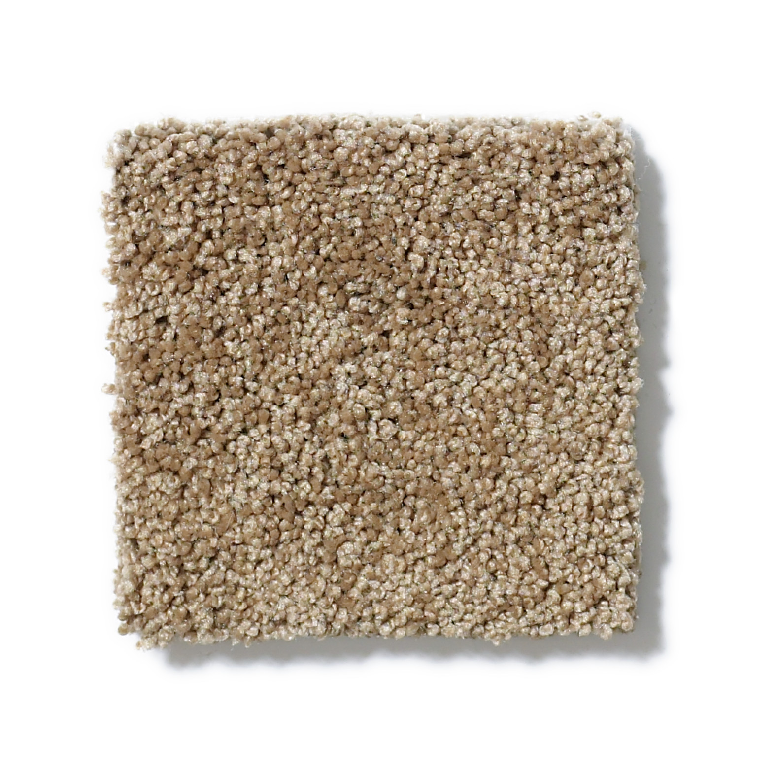 AG TIMELESS TOP SOIL SWATCH