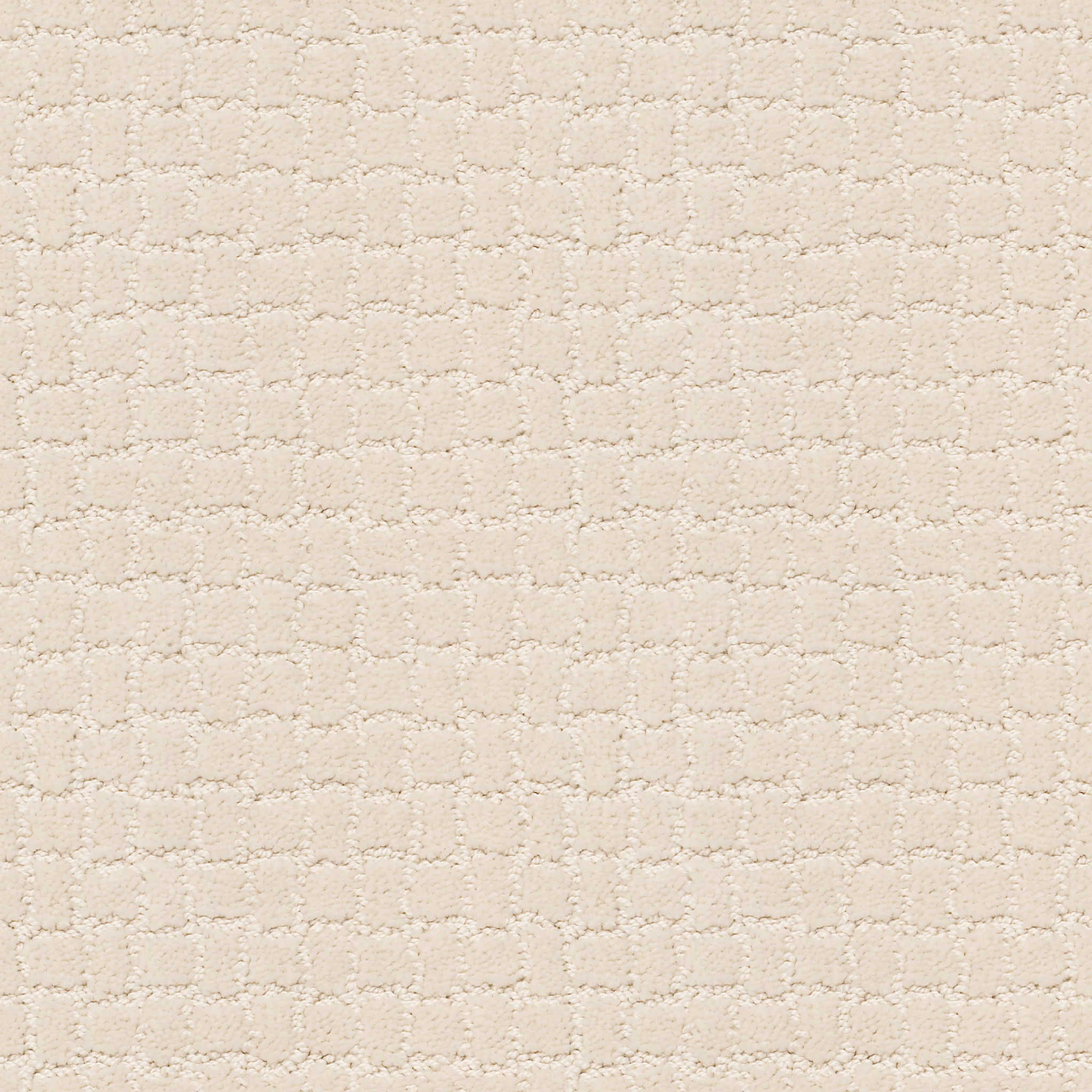 PAWSTRUCK CAPRI COAST MAIN