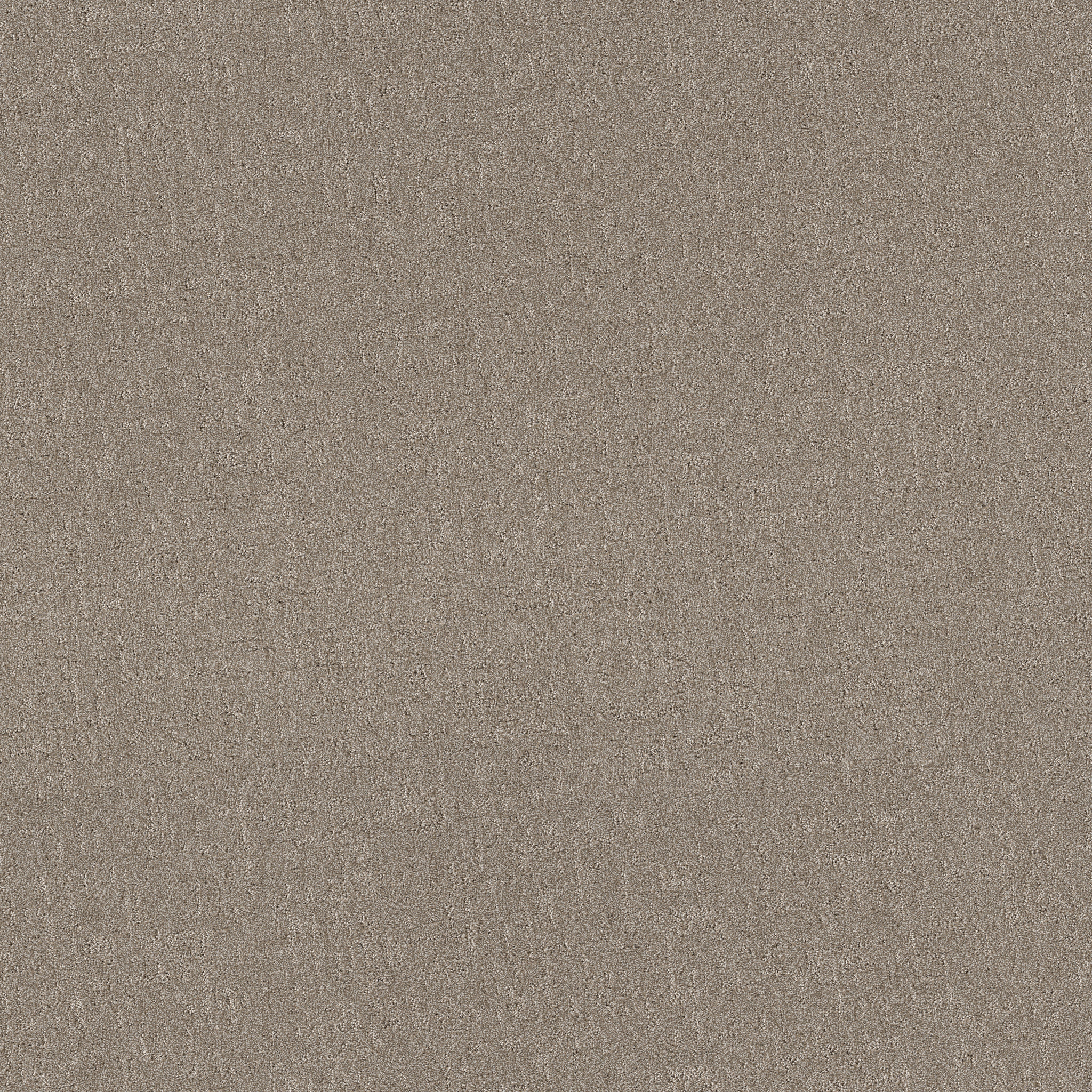 SECRET DESTINATION MOCHA MAIN