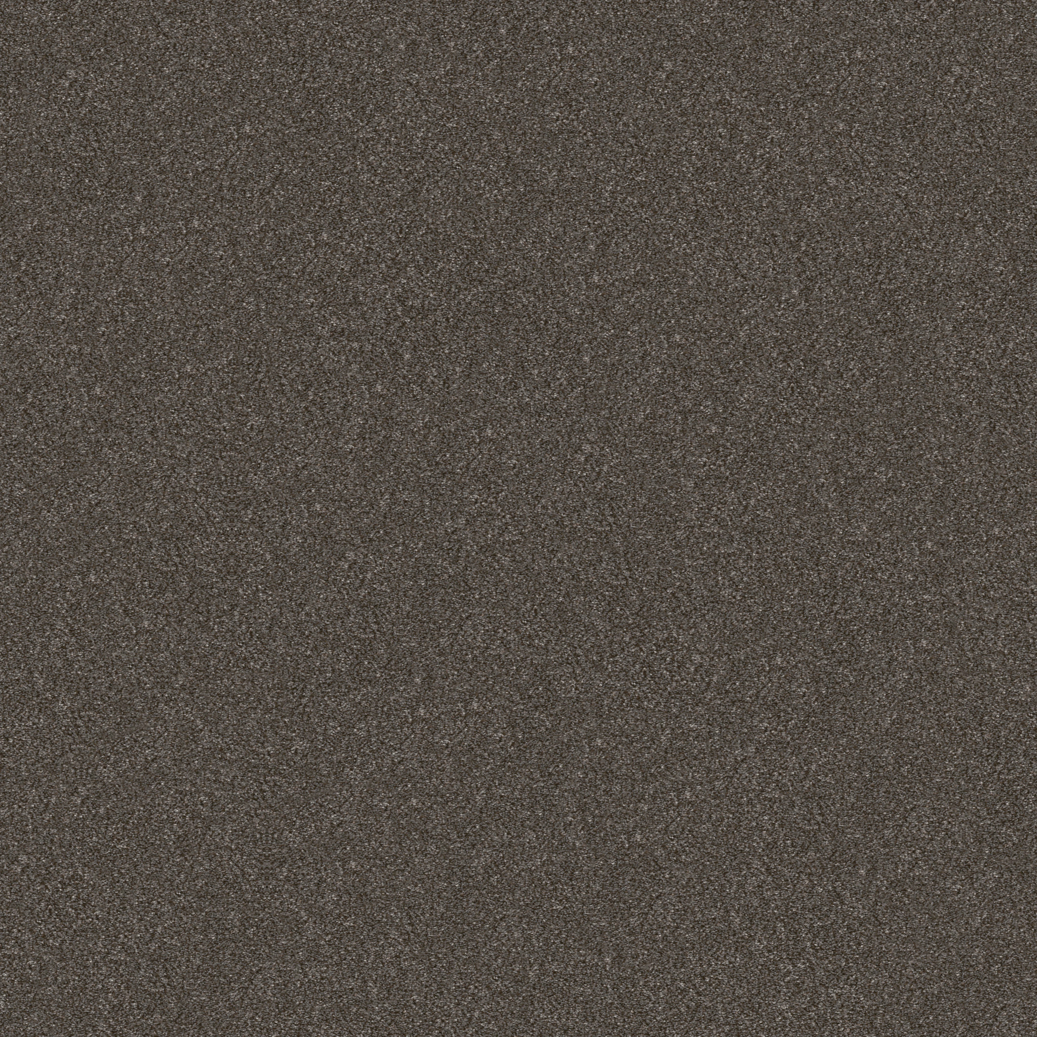 WITHOUT LIMITS II DERBY MAIN