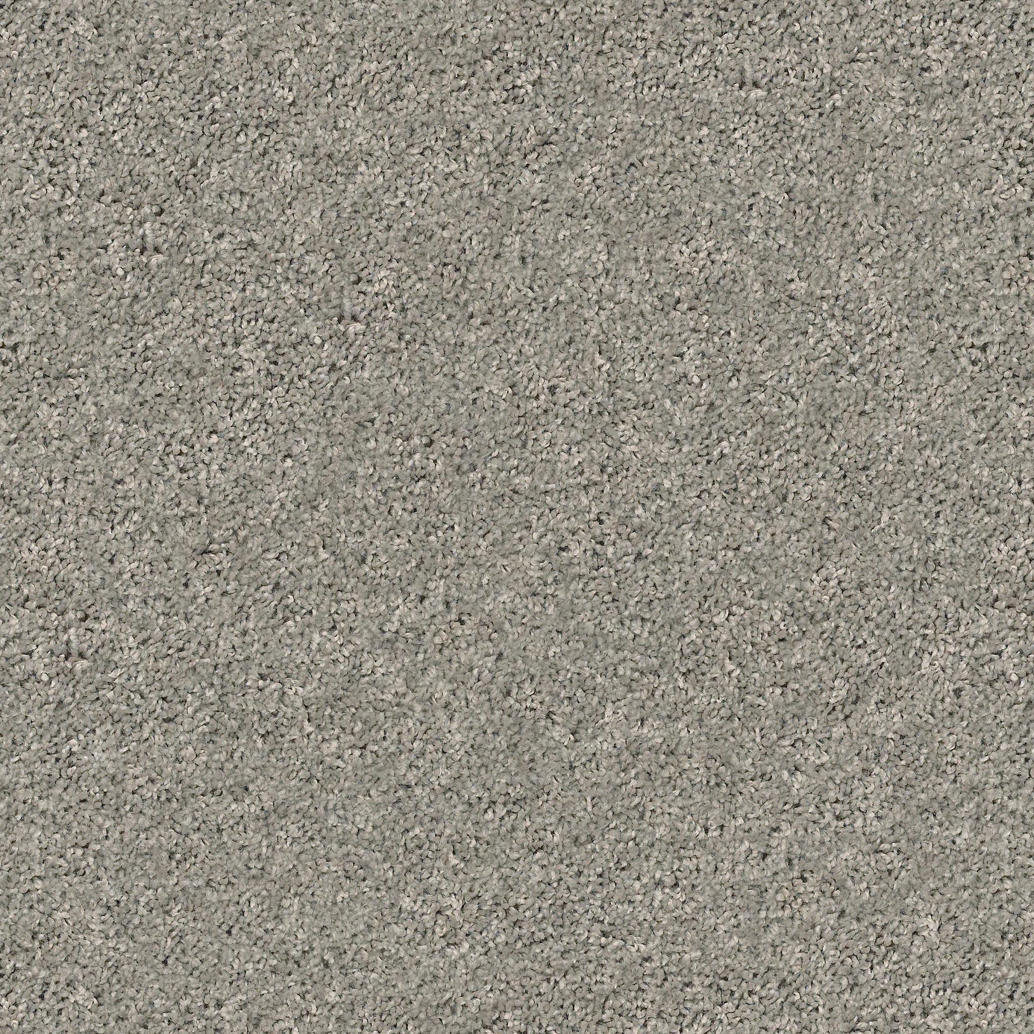 Shake It Up (S) in Cement