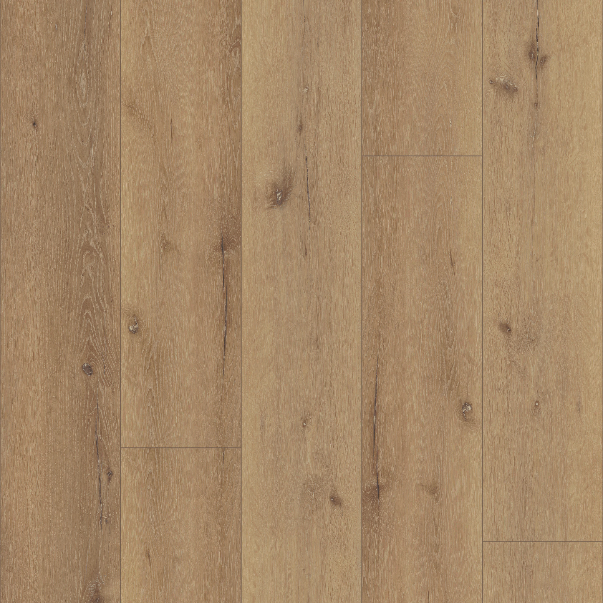 West Coast Exclusive CAIRO OAK MAIN