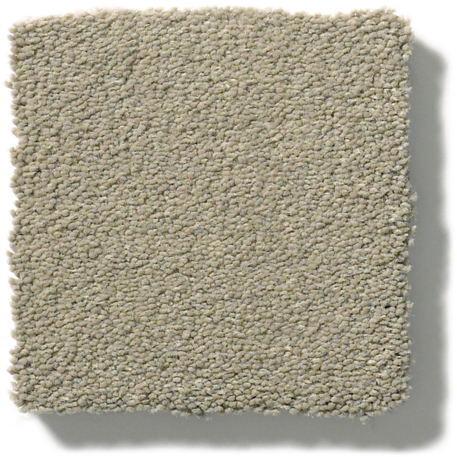 PERFECT CHOICE ELEPHANT EAR SWATCH