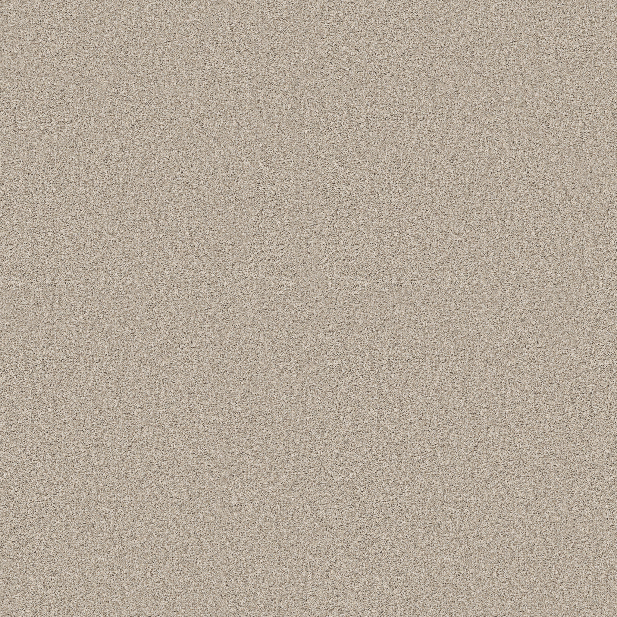 TONAL COMFORT I HOMEMADE ICE CREAM MAIN