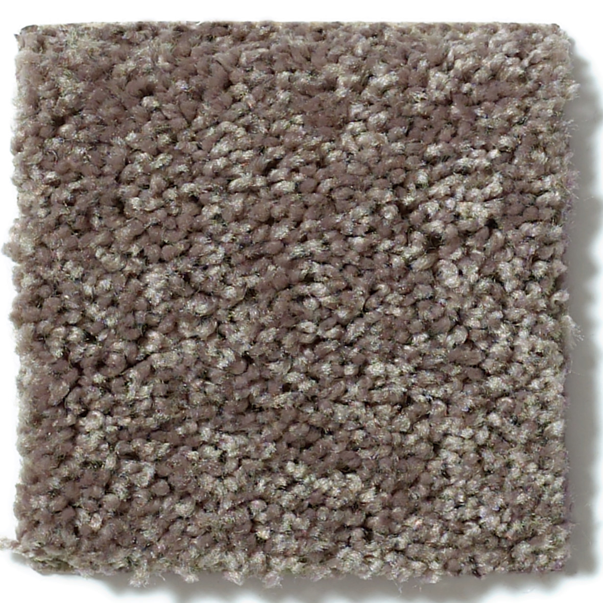 POINT GUARD 12' DRIFTWOOD SWATCH