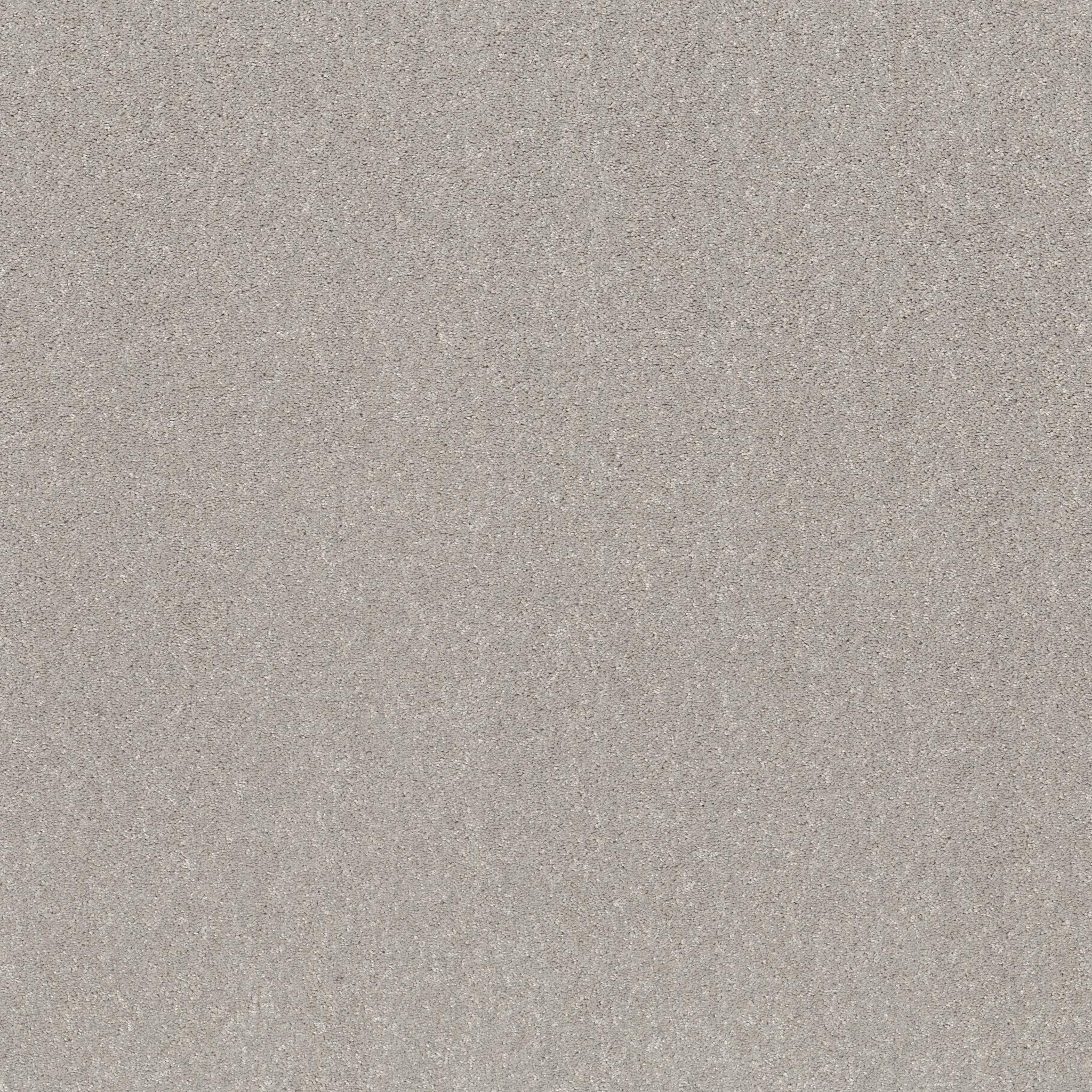 Smooth Talk II in Silver Mist
