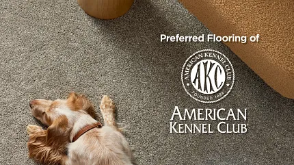 Comfortable and Durable Beige Carpet for Everyday Home Comfort Cozy living room scene with a dog resting on durable, easy-to-maintain beige carpet