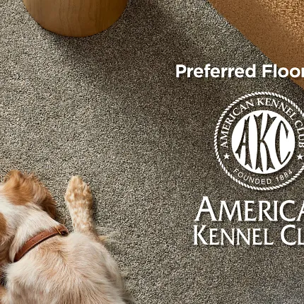 Preferred flooring of American Kennel Club A golden retriever lays calmly on a beige carpet near some brown furniture, seen from a top-down view. The American Kennel Club (AKC) logo is displayed with the text "Preferred flooring of American Kennel Club"