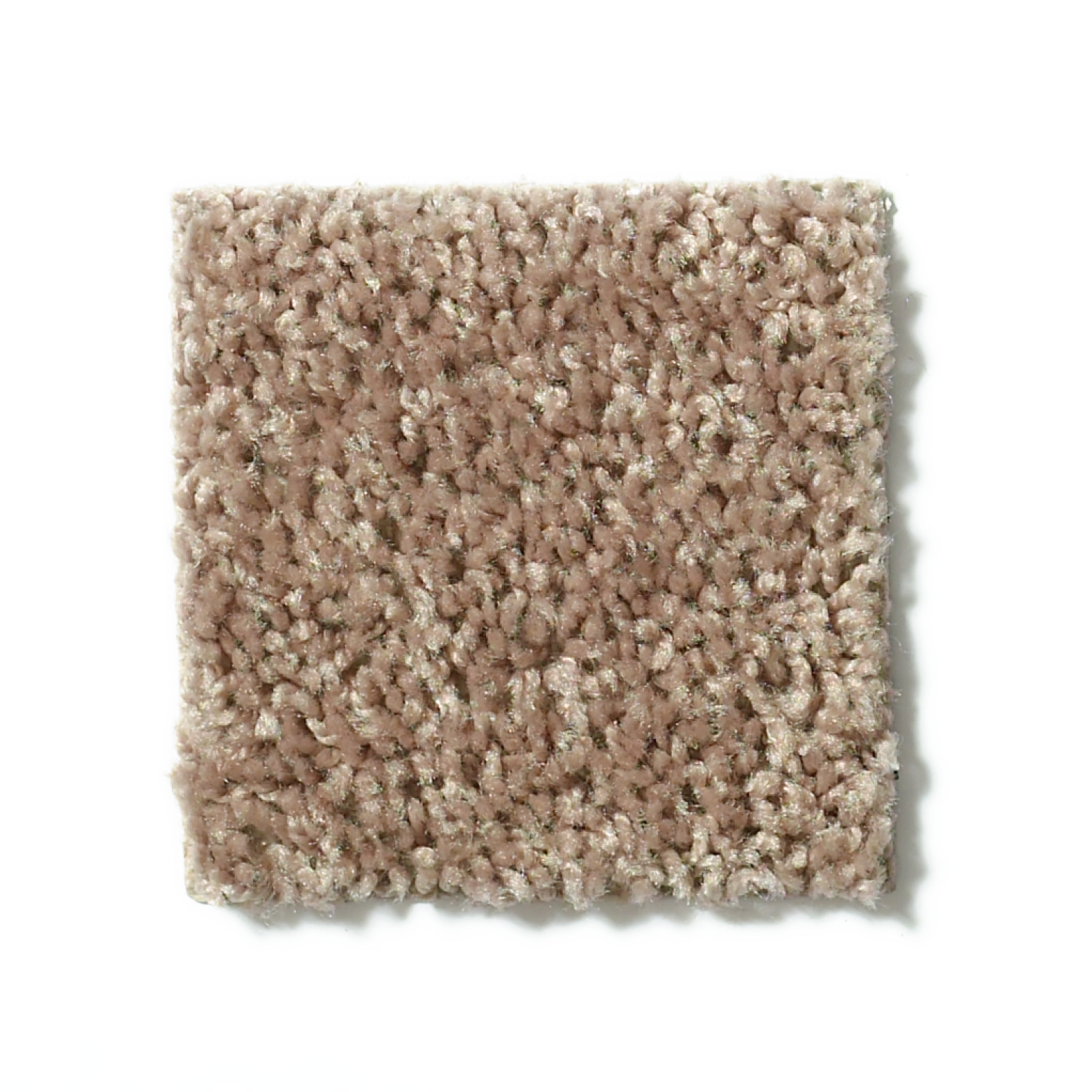 EXPECT MORE (S) SAHARA BUFF SWATCH