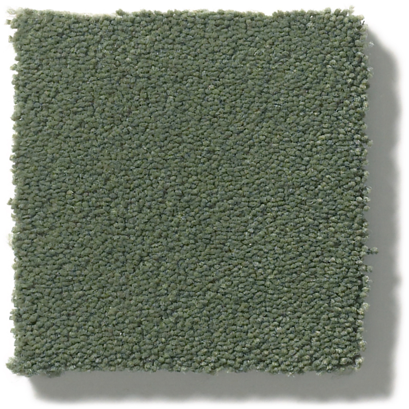 PERFECT CHOICE DYNASTY GREEN SWATCH