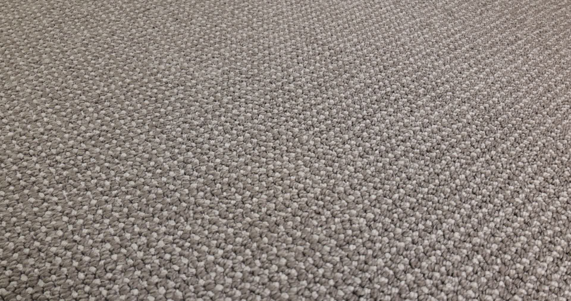 PURRFECTION METROPOLIS 360PROD