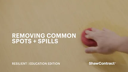 Easy maintenance for resilient flooring in educational settings Hand cleaning resilient flooring with a red sponge