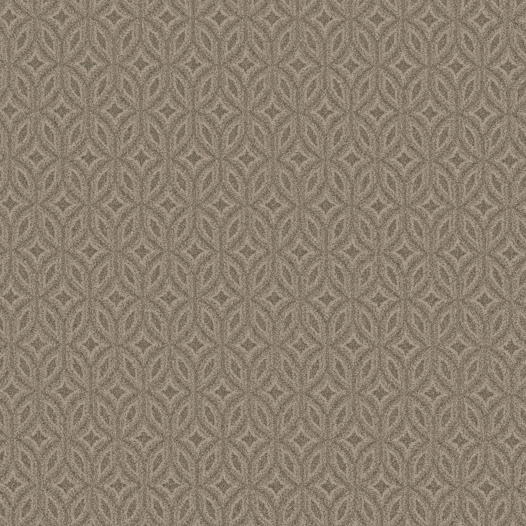 ENLIGHTENED TOASTY GRAY MAIN