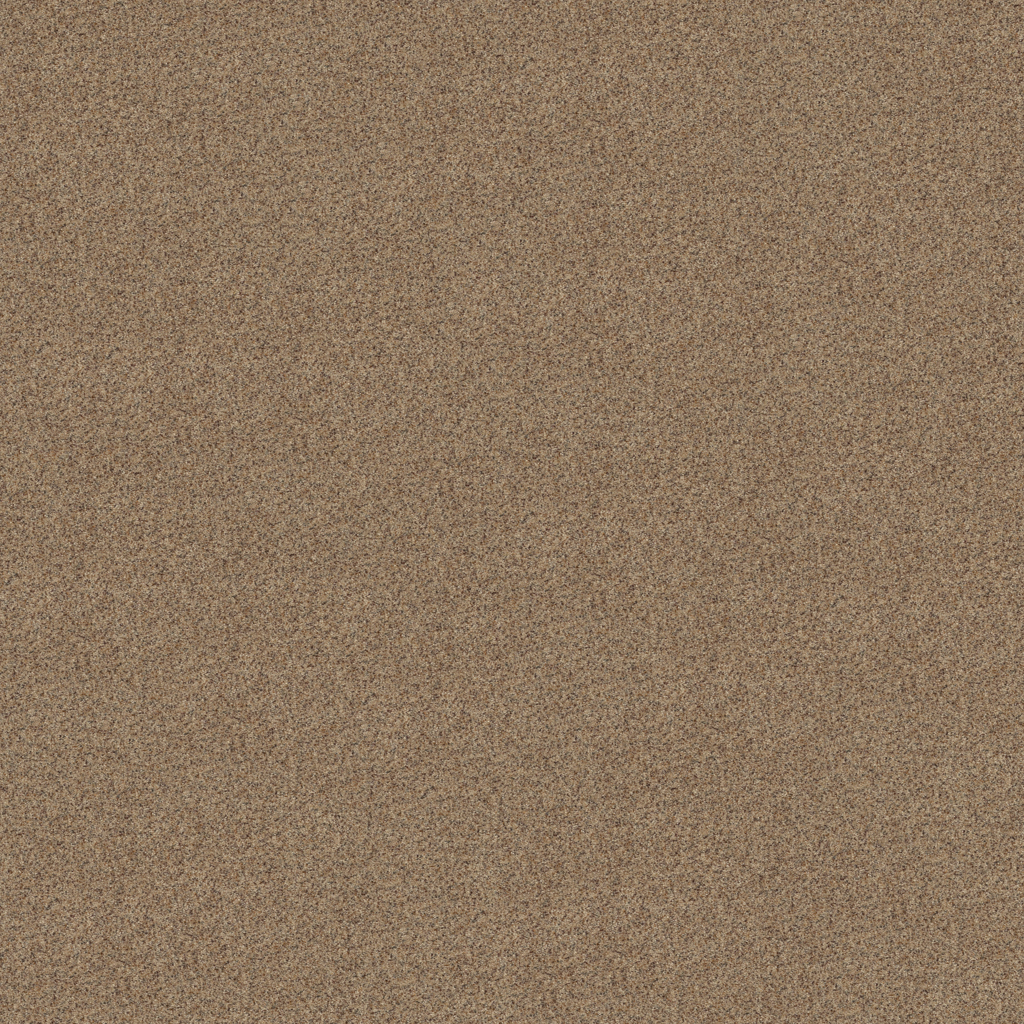 CANYON LAKE TERRAZZO MAIN