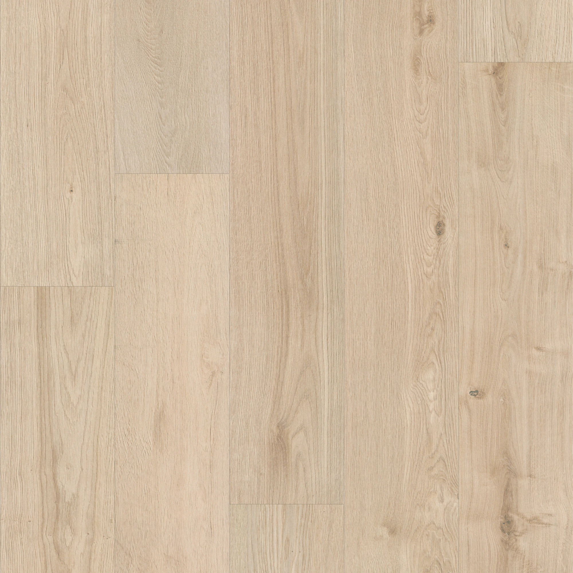 OAK CREST COCONUT GROVE MAIN