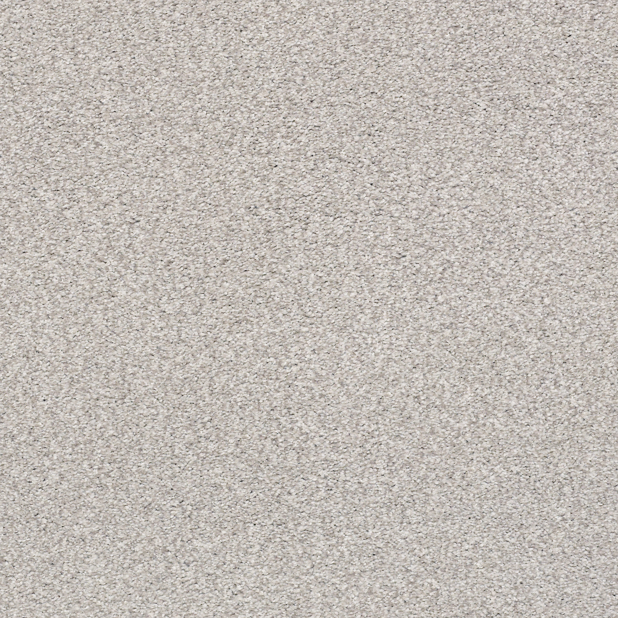 AG SENSATIONAL SEA FOG MAIN