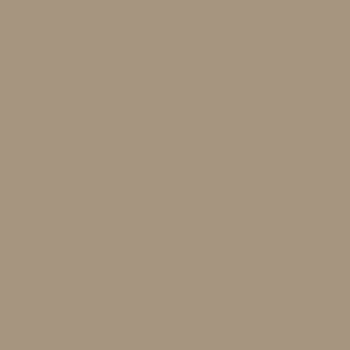 Buckskin 00153