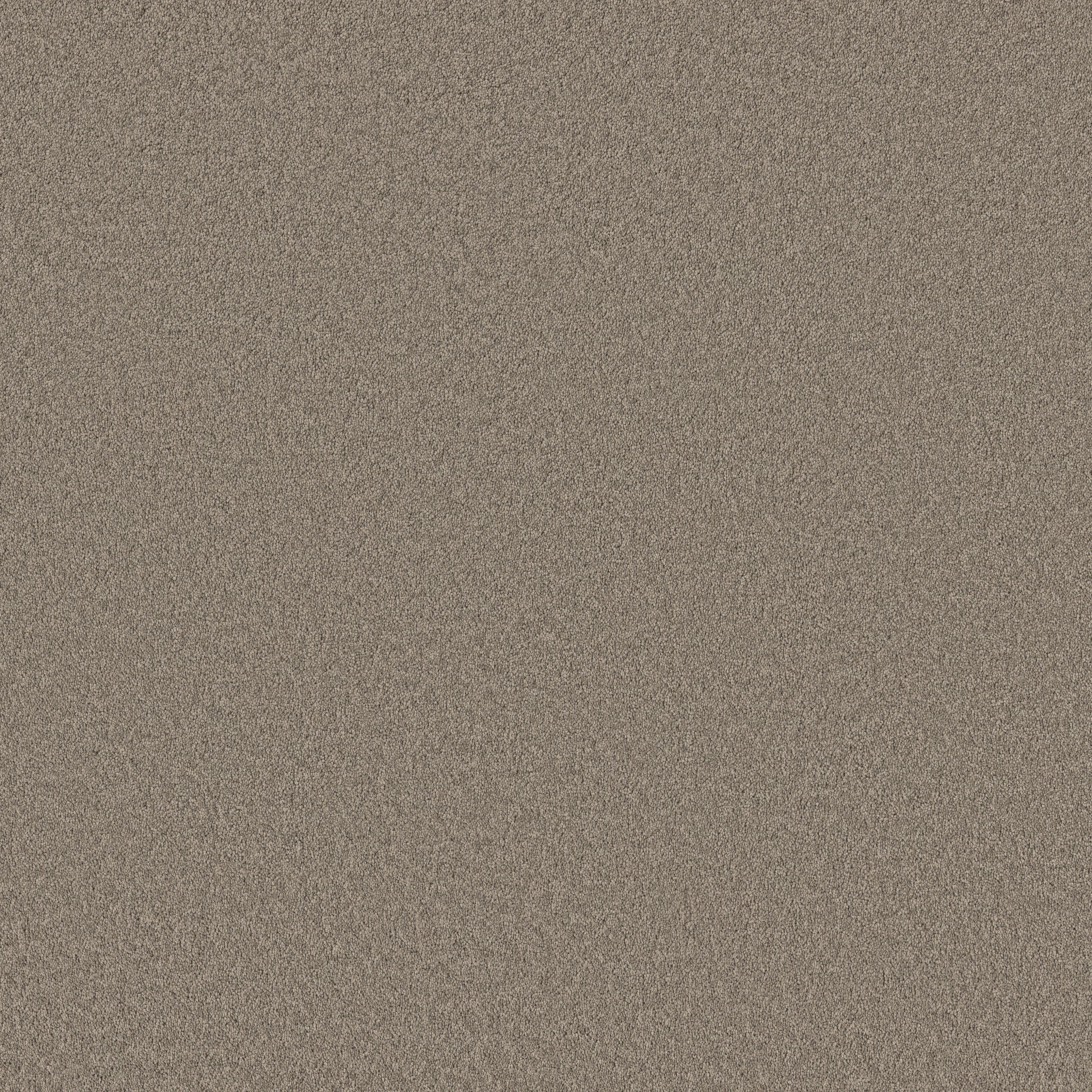 VELVET TOUCH I PLAZA TAUPE MAIN