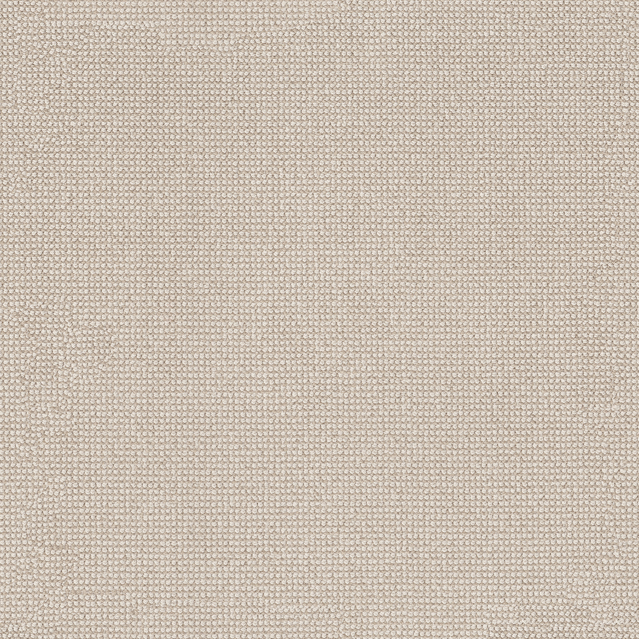 ALLURING BIRCHBARK MAIN