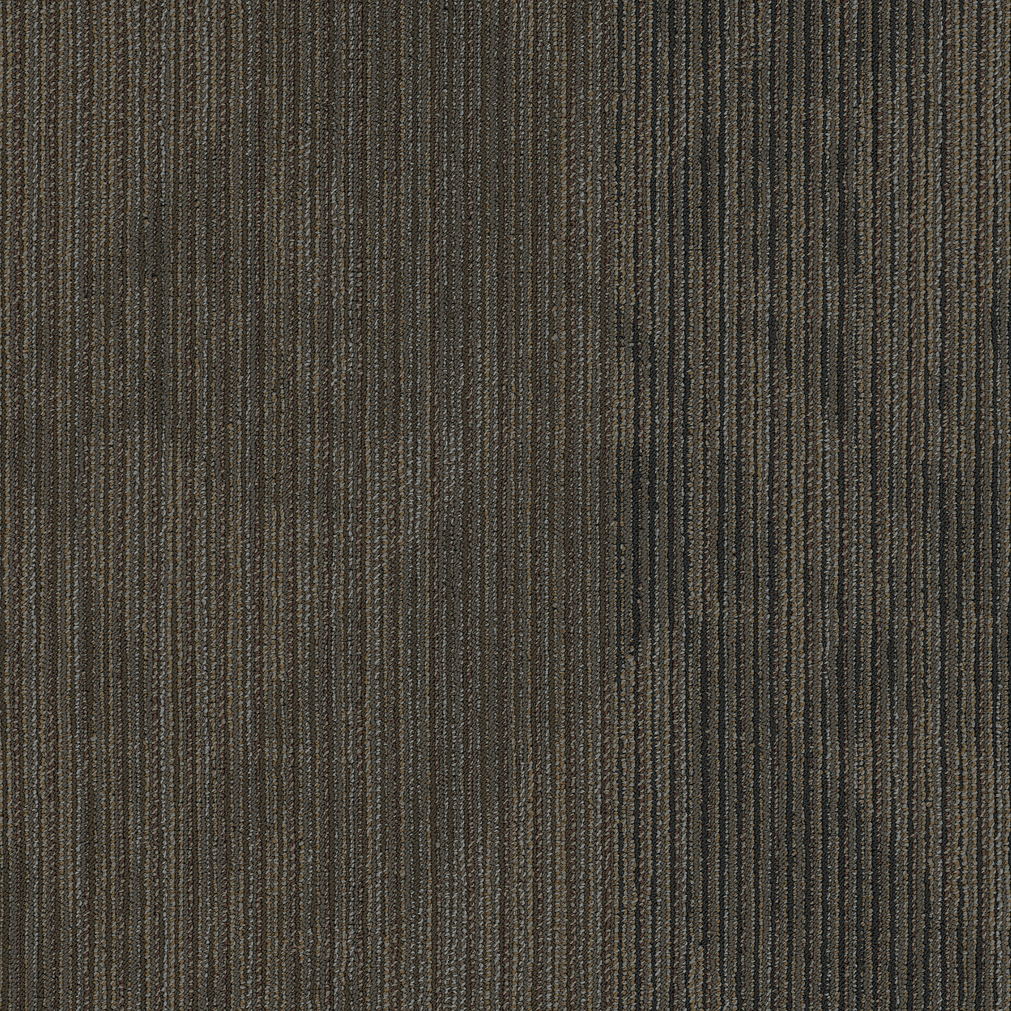 DECLARE-54904-COVERAGE-00710-main-image