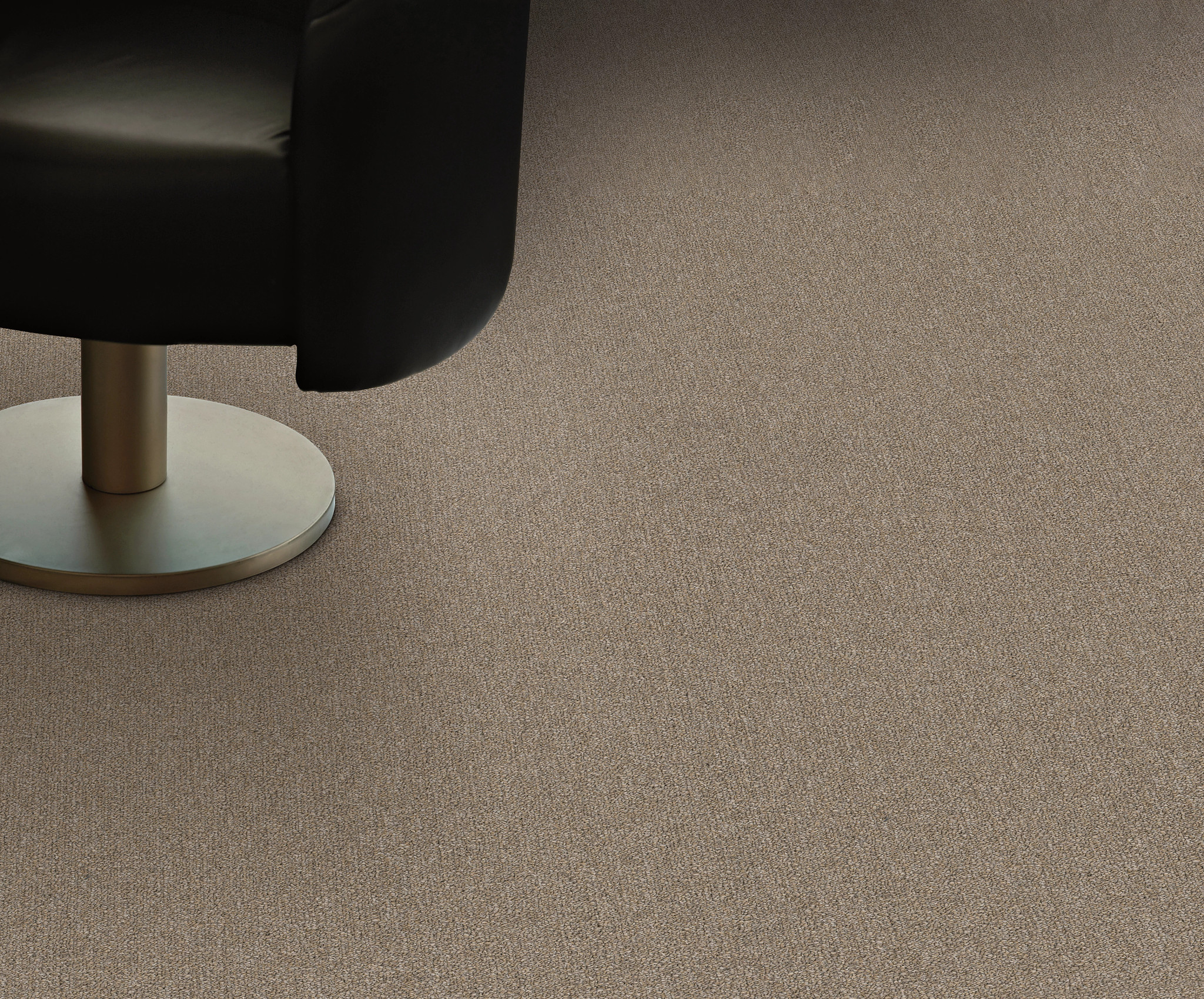 PROFUSION 54934 MASSES 00200 room image