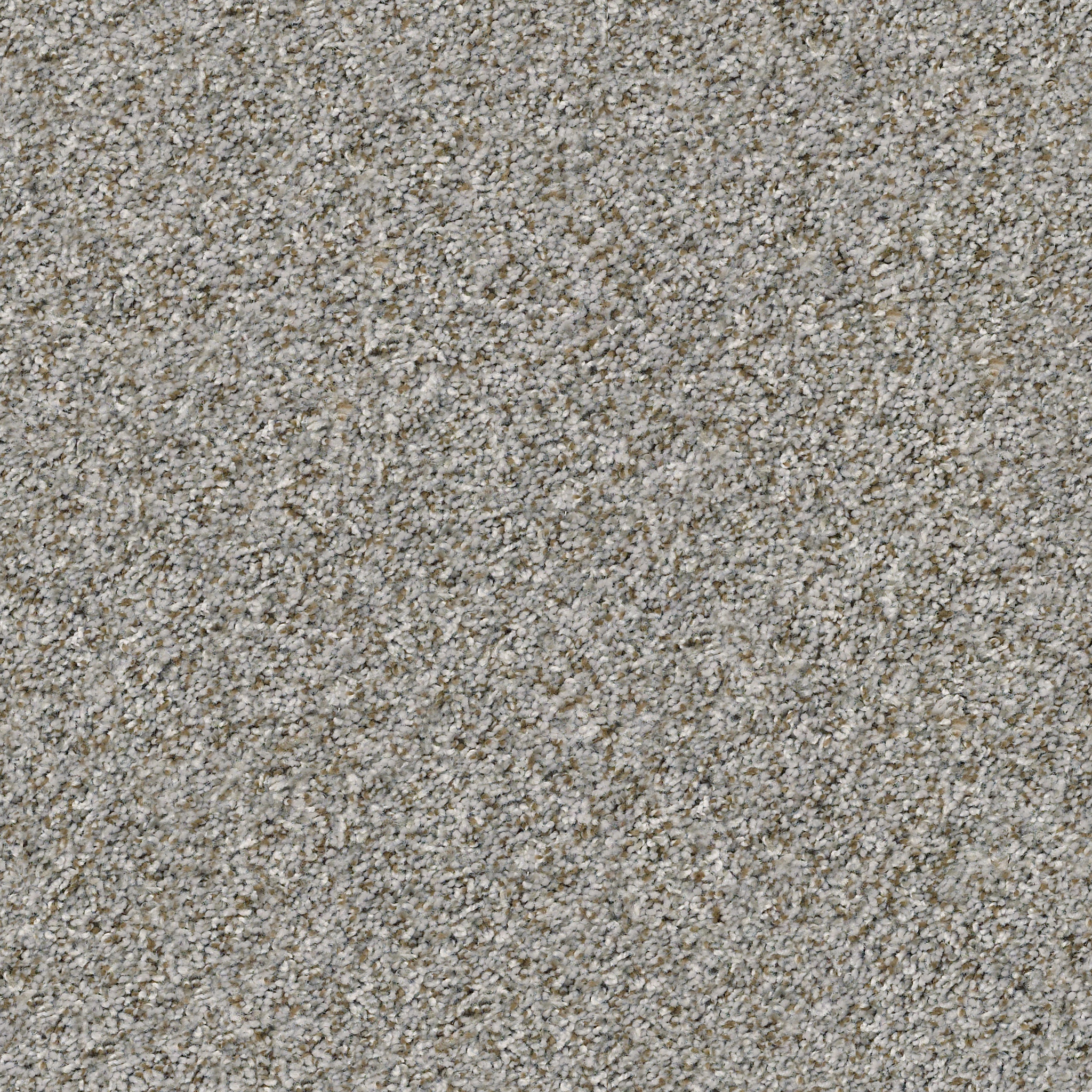 CABANA BAY (B) SIERRA MIST MAIN