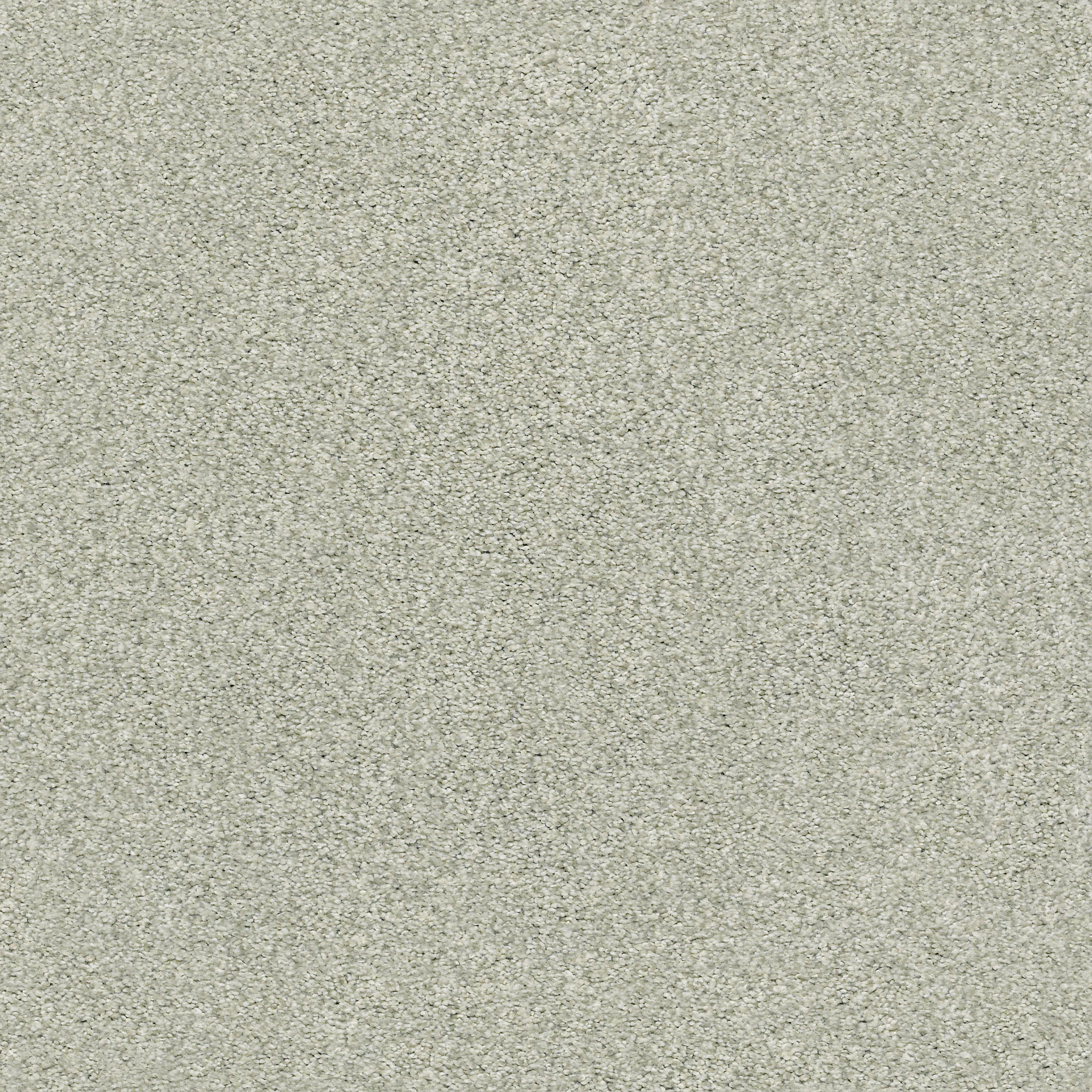 TONAL COMFORT BLUE WILLOW TREE MAIN