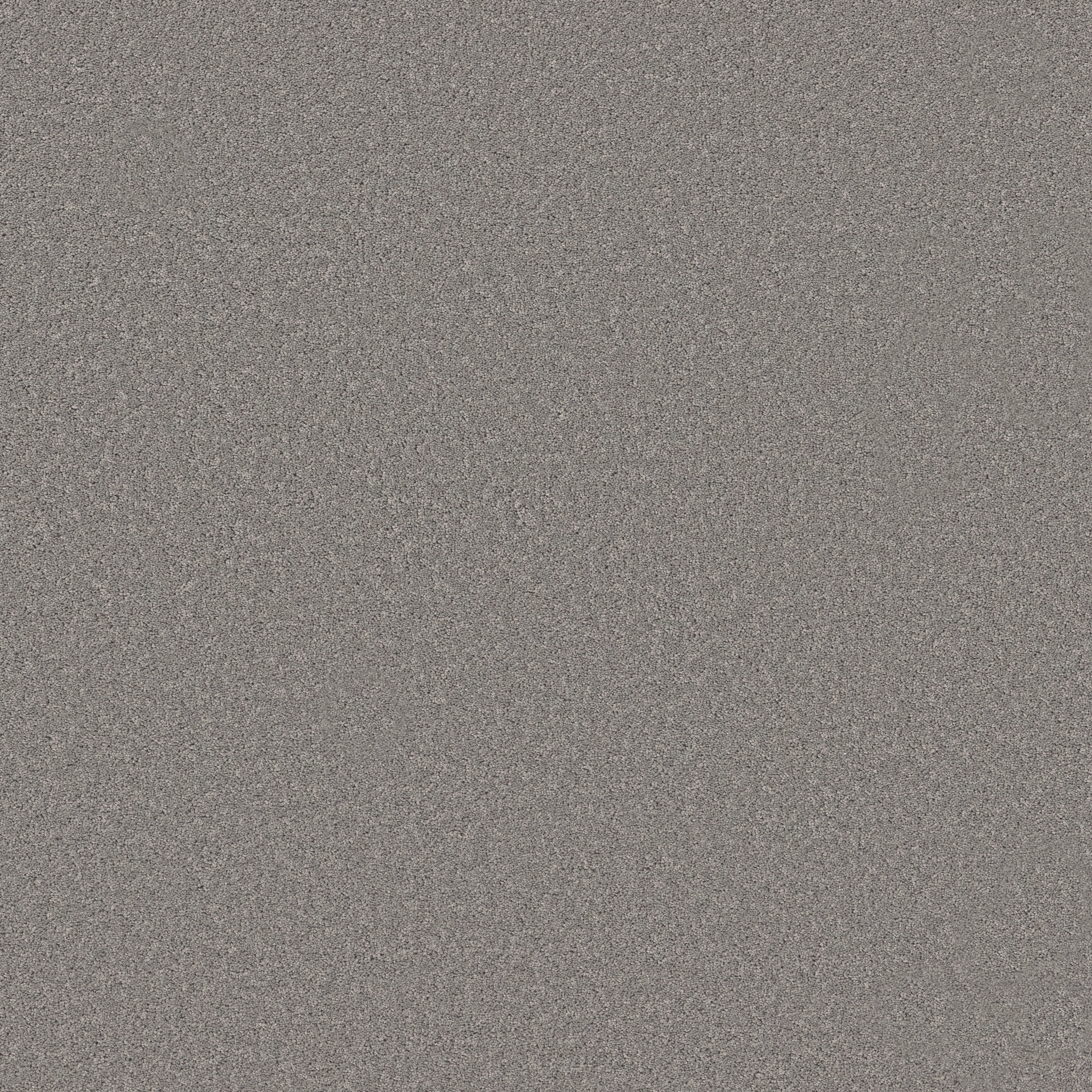 NEW MEMORIES S WINTER MAIN