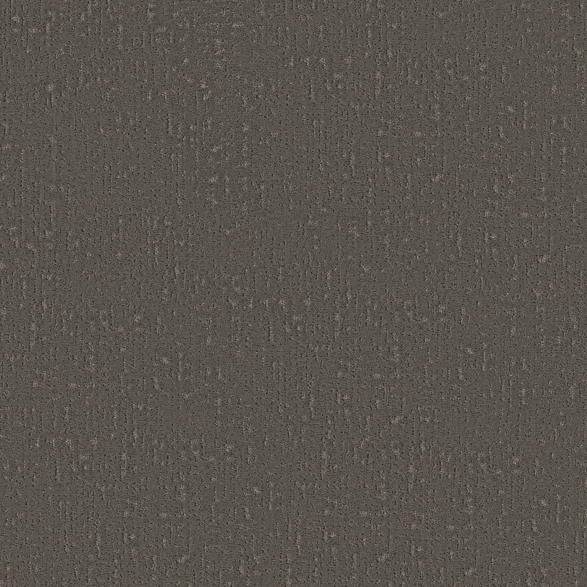 CURATED TONE NIGHT OWL MAIN