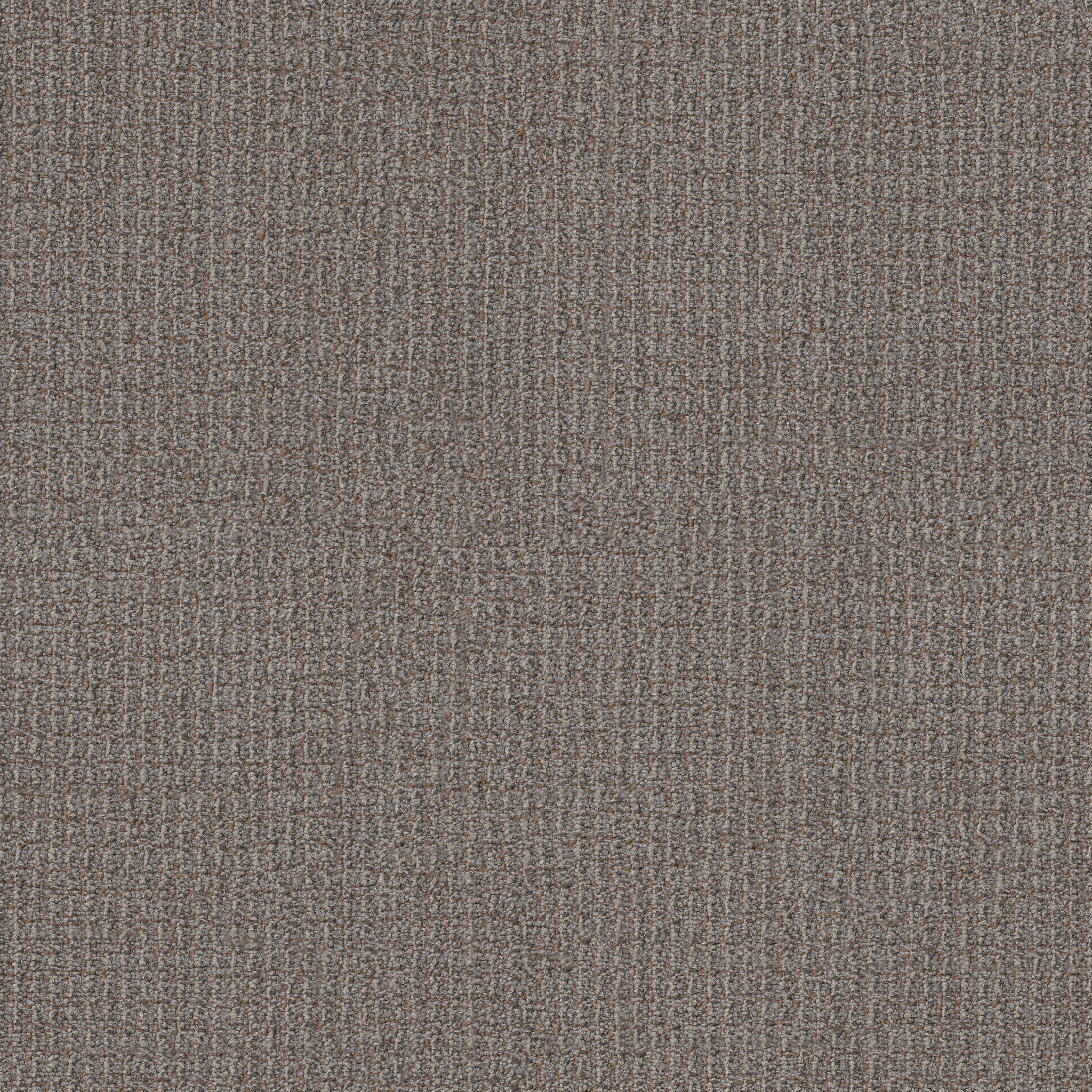 FREE-PRESS-54985-PUBLISHER-00200-main-image