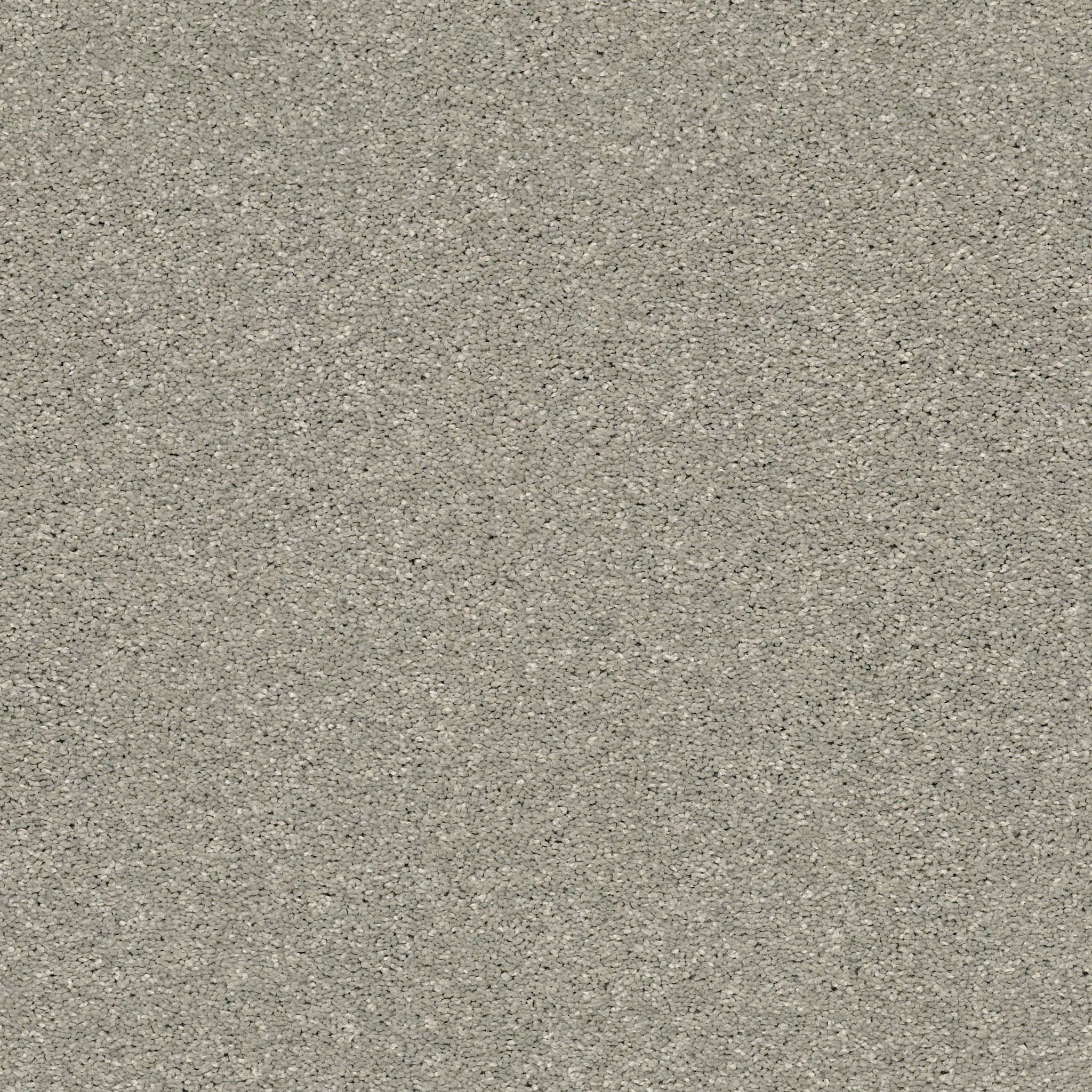 BASIC RULES FLAX MAIN