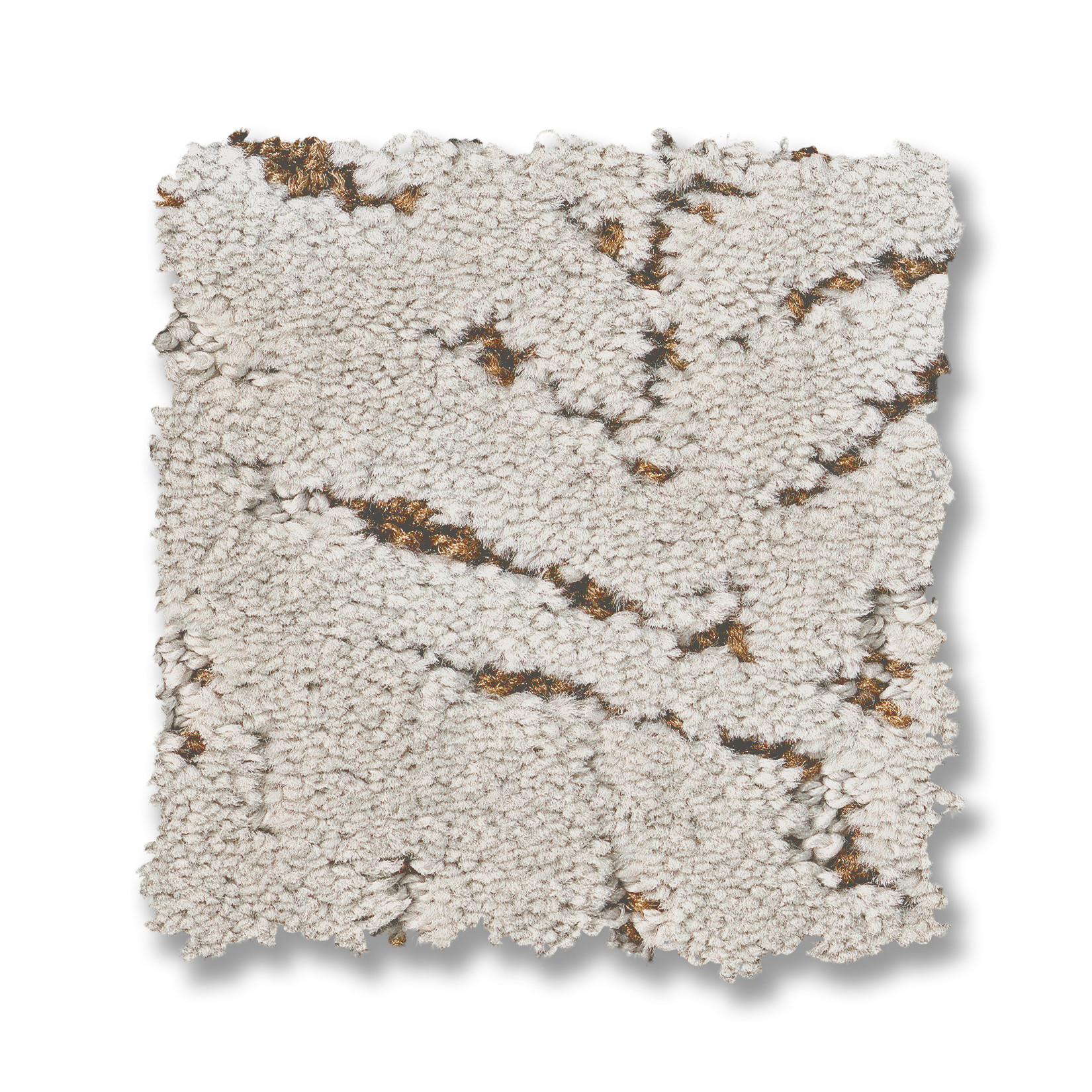 AUTOGRAPH SILVER FOX SWATCH