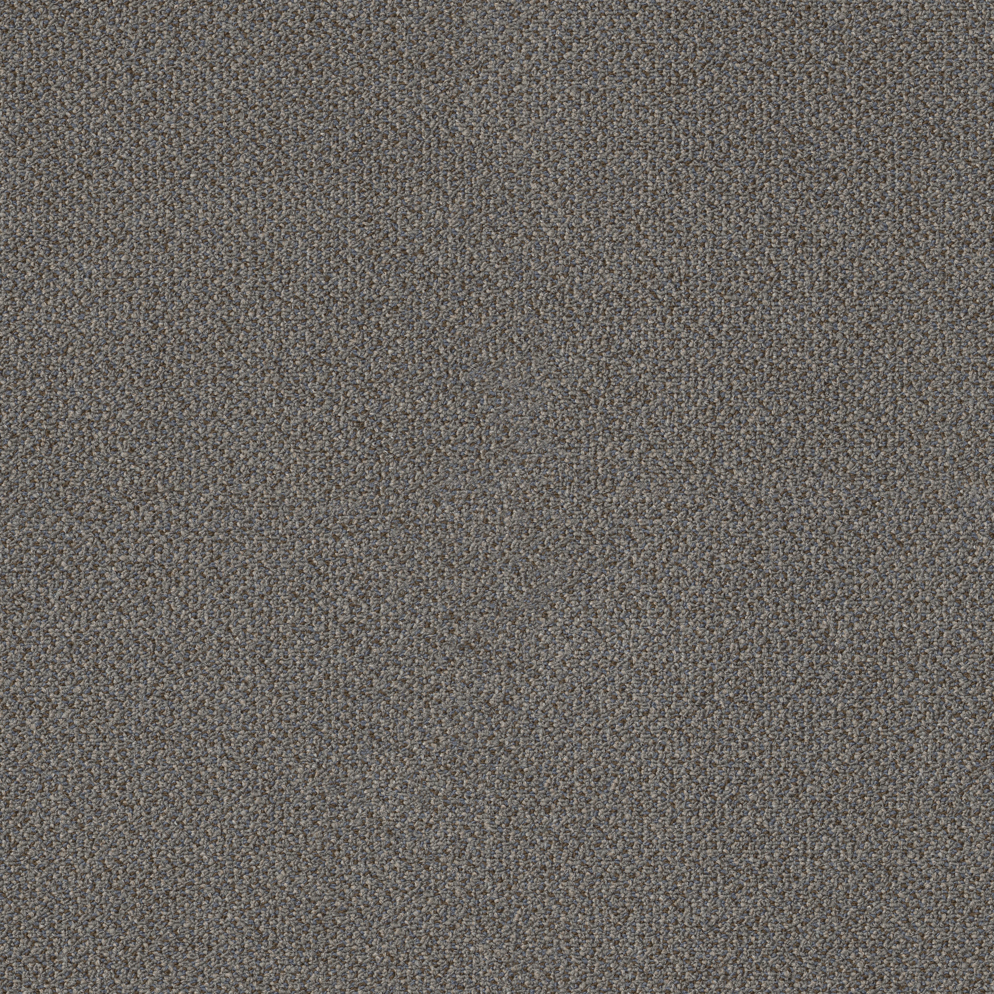 SMALL-WONDER-54984-WONDROUS-84501-main-image