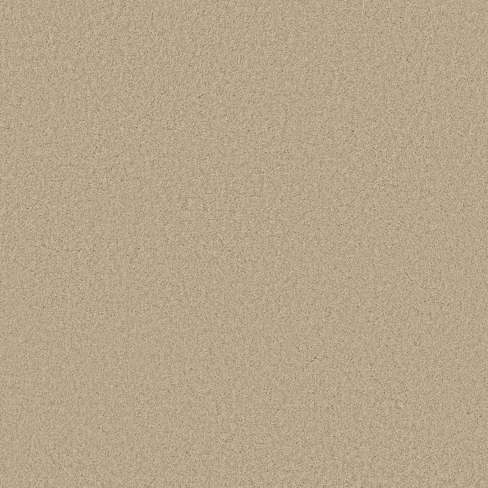 MY CHOICE III FRENCH LINEN MAIN