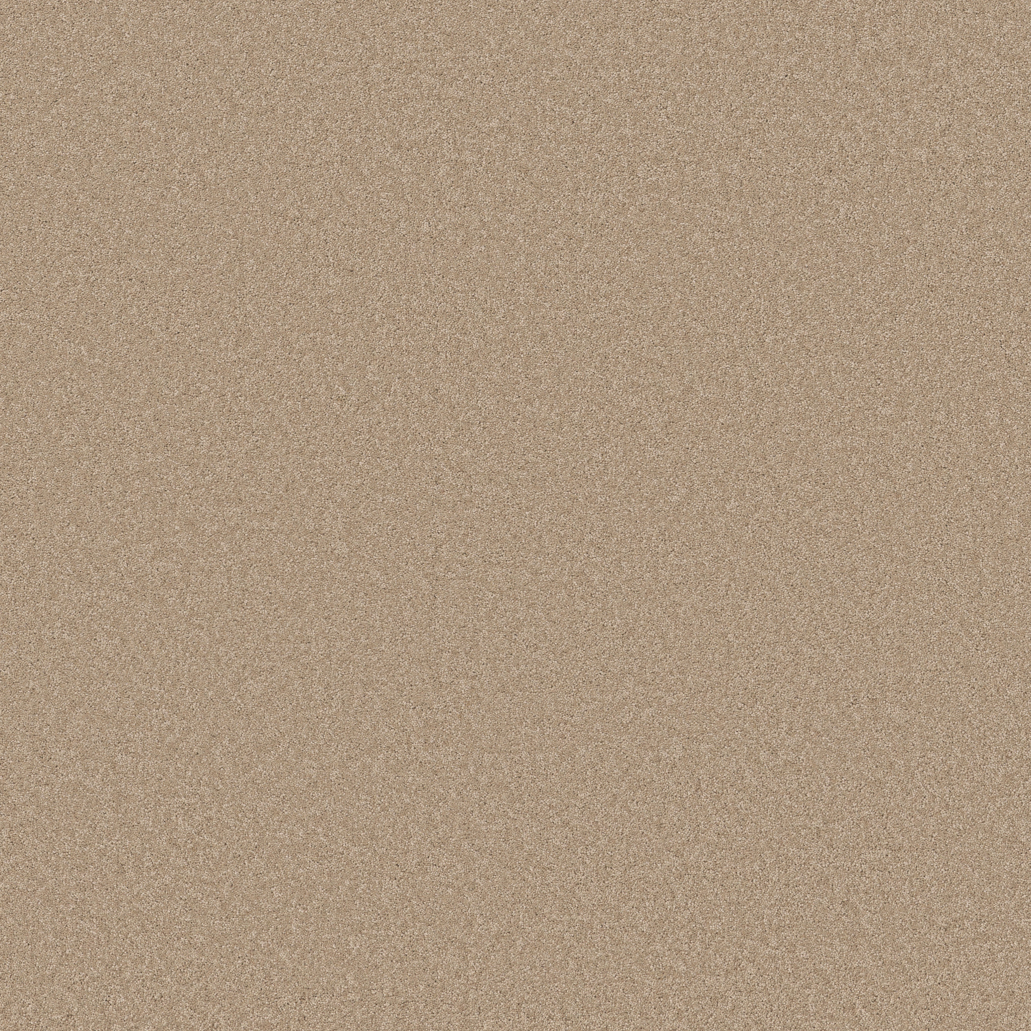 ENDURING CHARM BRULEE MAIN