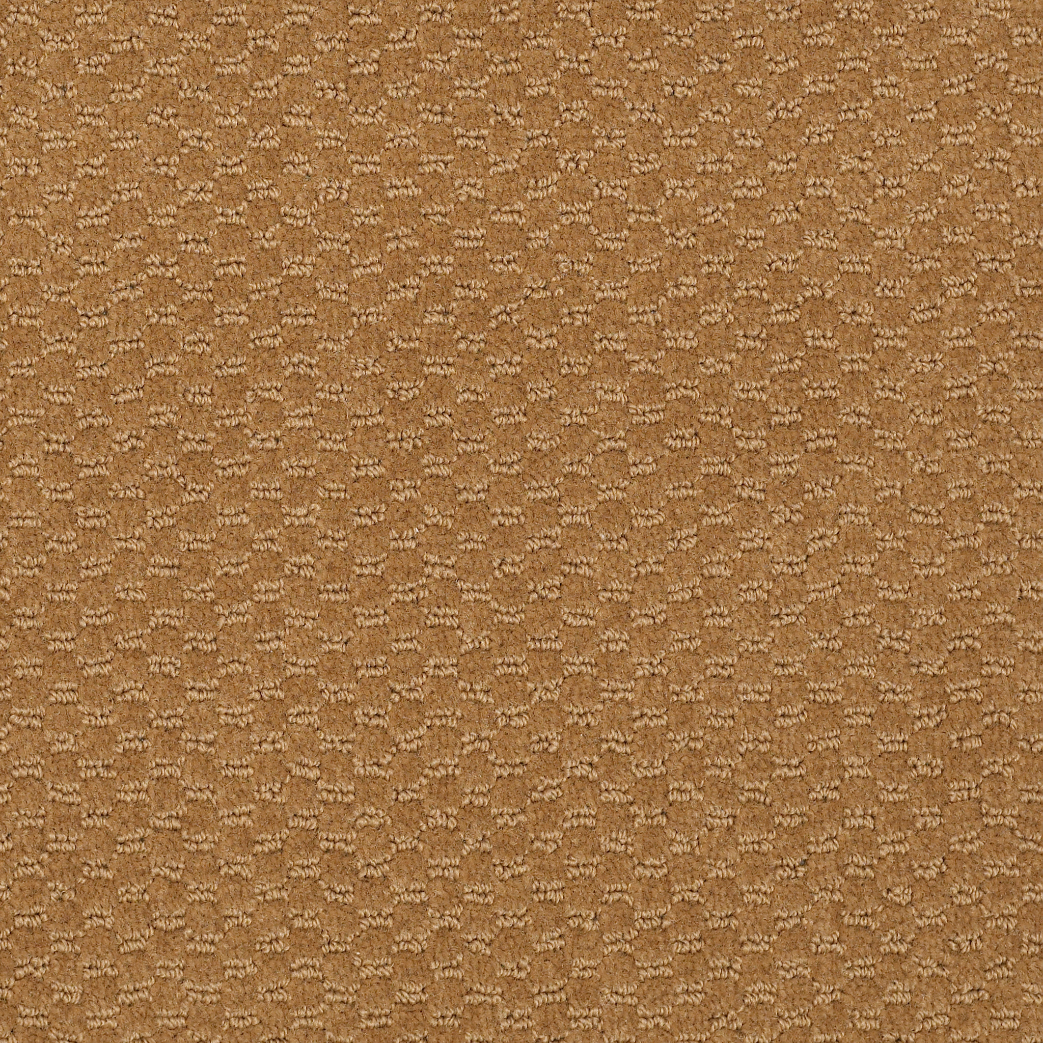 ELEMENTS-Q0421-GRAND-TETON-TAN-21251-main-image