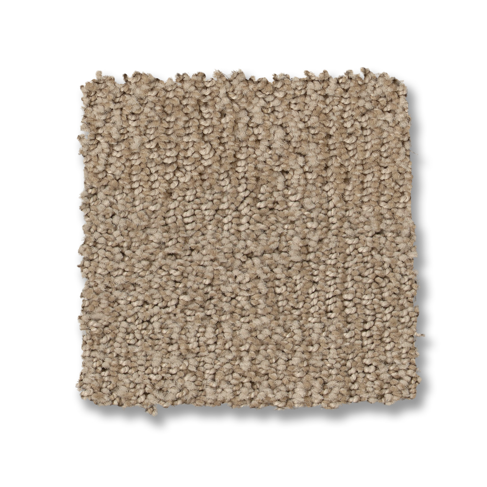 ARIO COASTAL HOME SWATCH