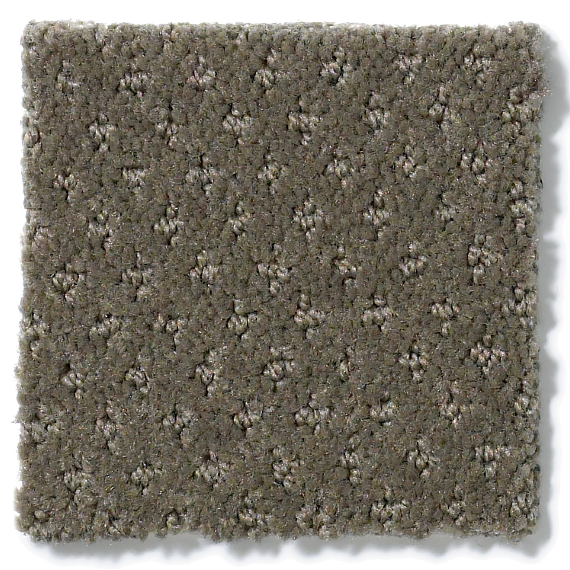 LIFE LESSONS GRAPHITE SWATCH