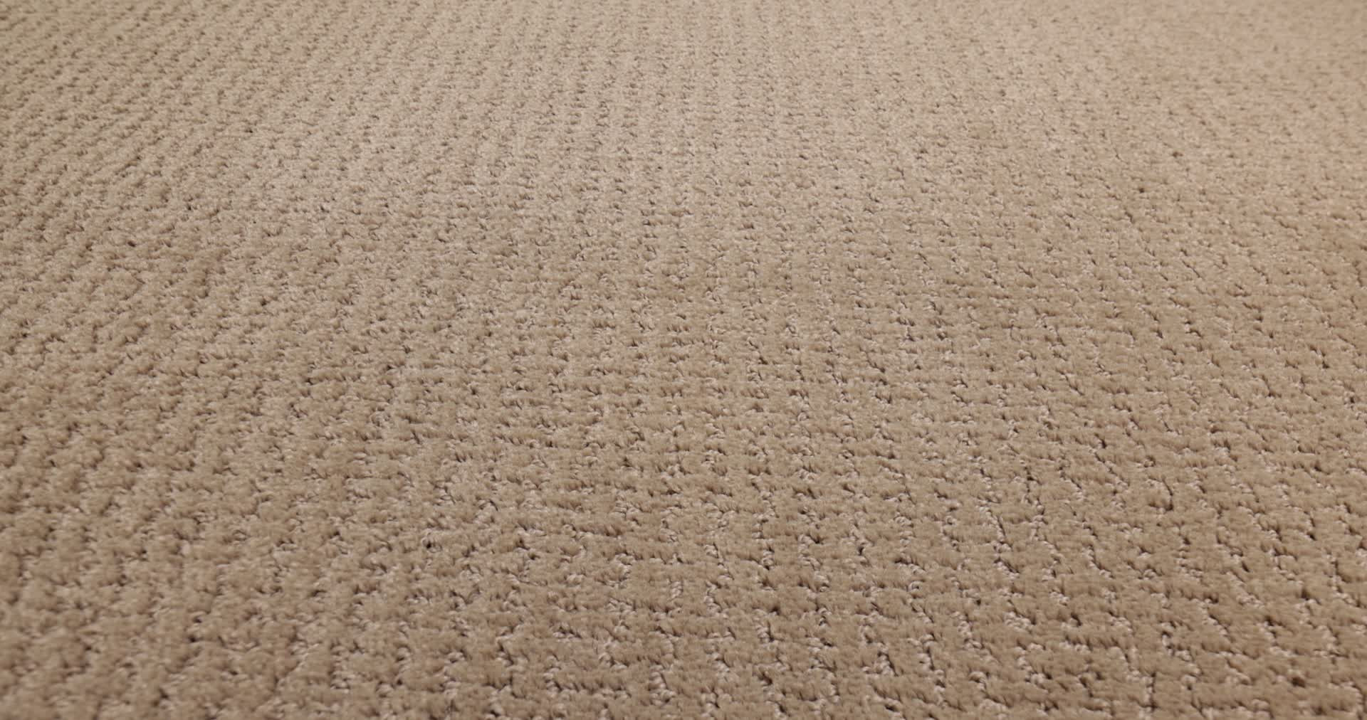 WARM MEMORIES CAMPING TRIP 360PROD