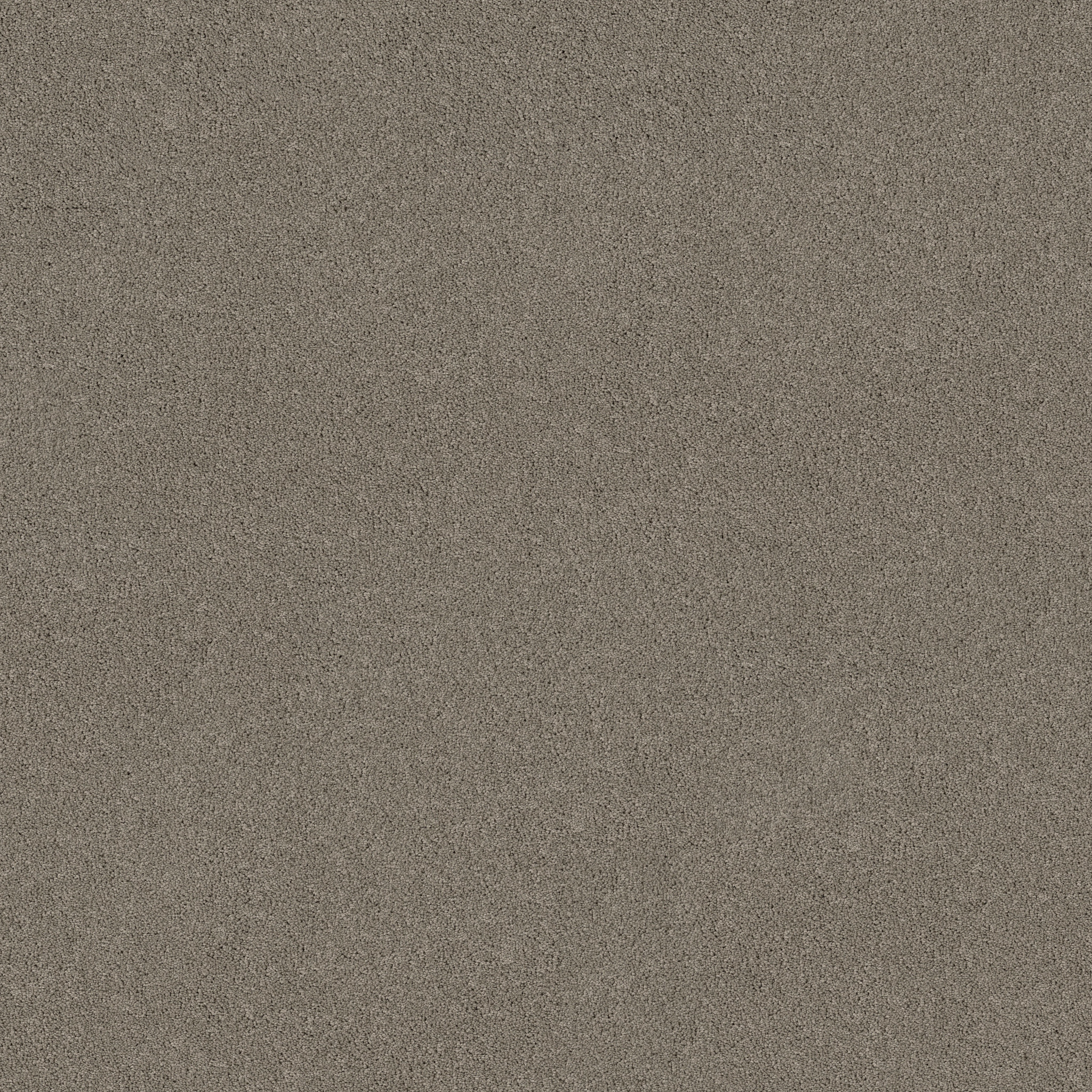 PURE AFFECTION S PIER MAIN