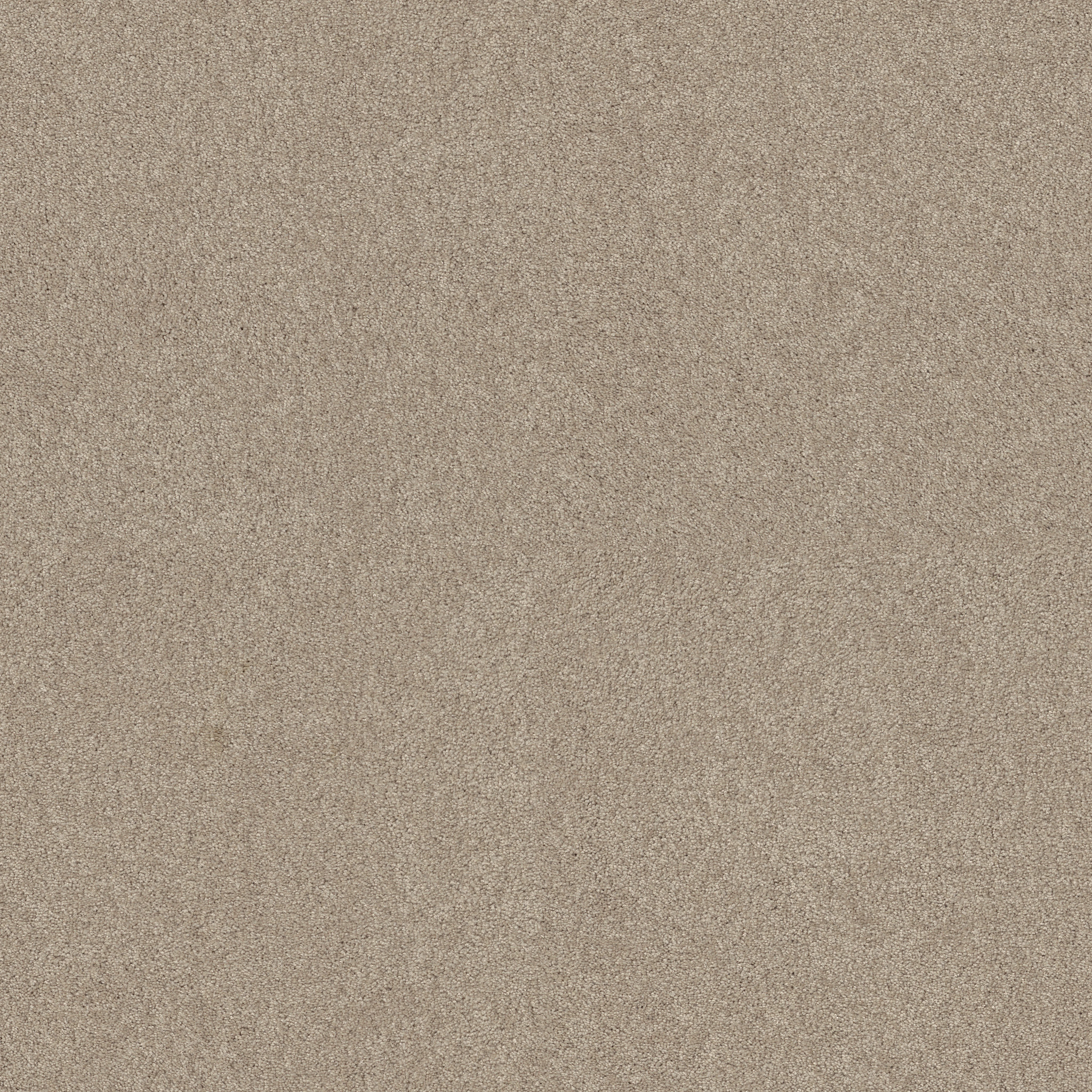 BEAUTIFULLY SIMPLE FRENCH CANVAS MAIN