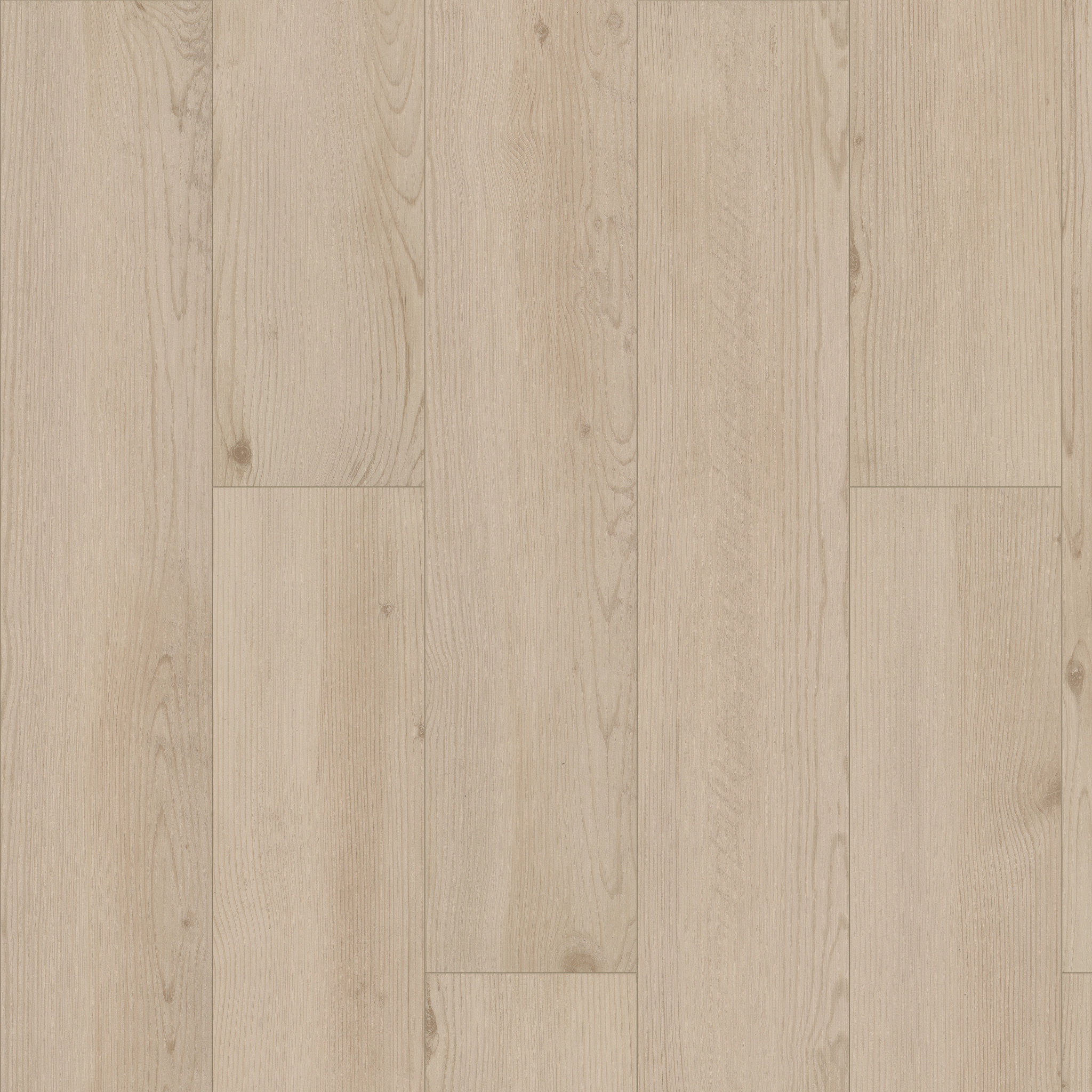 ALLEGIANCE + ACC GALLERIA PINE MAIN