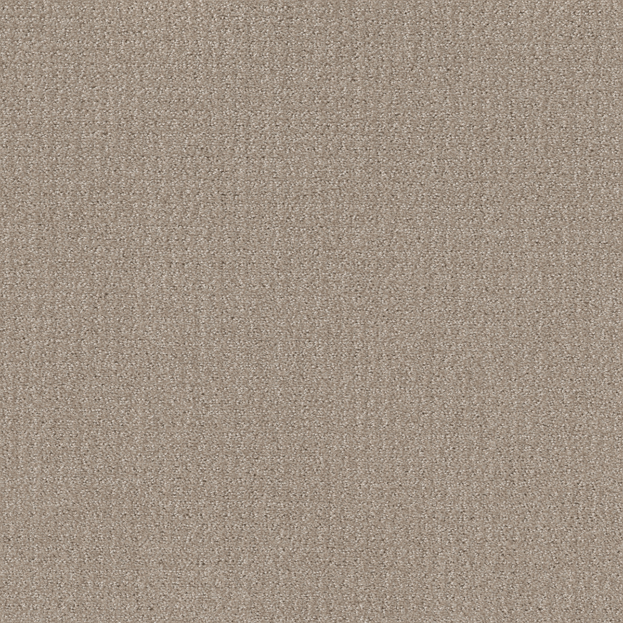 TRANSLATE SAND SWEPT MAIN