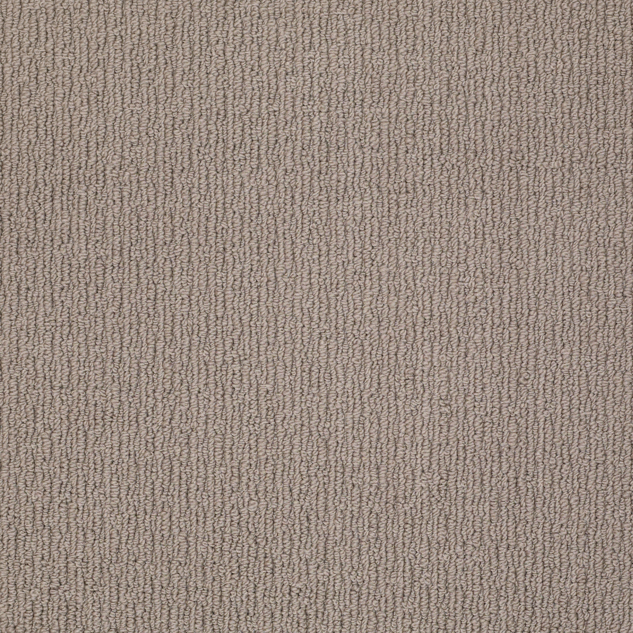 CASUAL MOOD BIRCH SHADOW MAIN