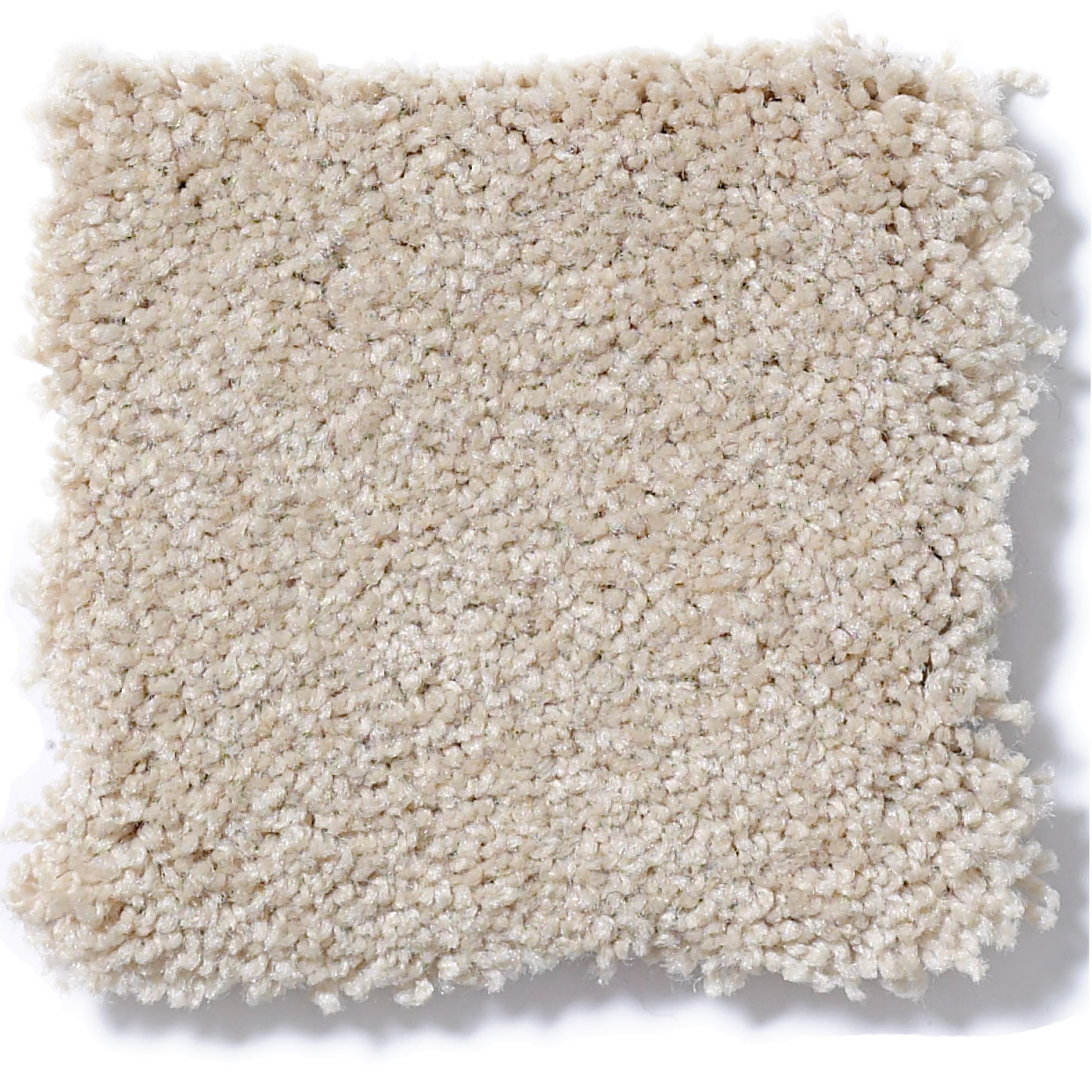 TIMELESS APPEAL III 12' CASHEW SWATCH