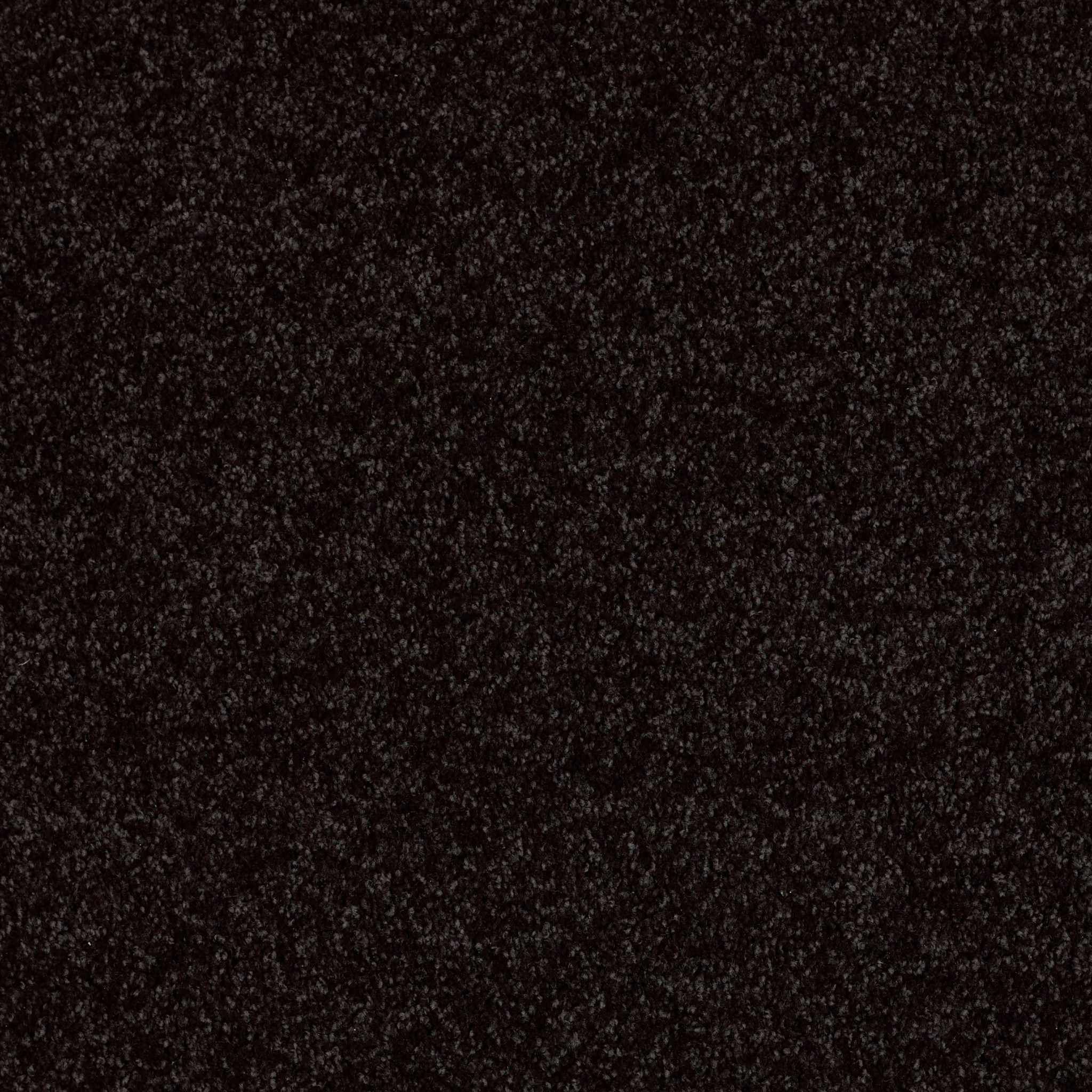 LARIMORE 15' ARMOUR MAIN