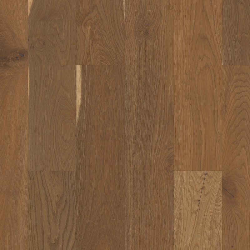 EXPRESSIONS in Prose by Shaw Floors
