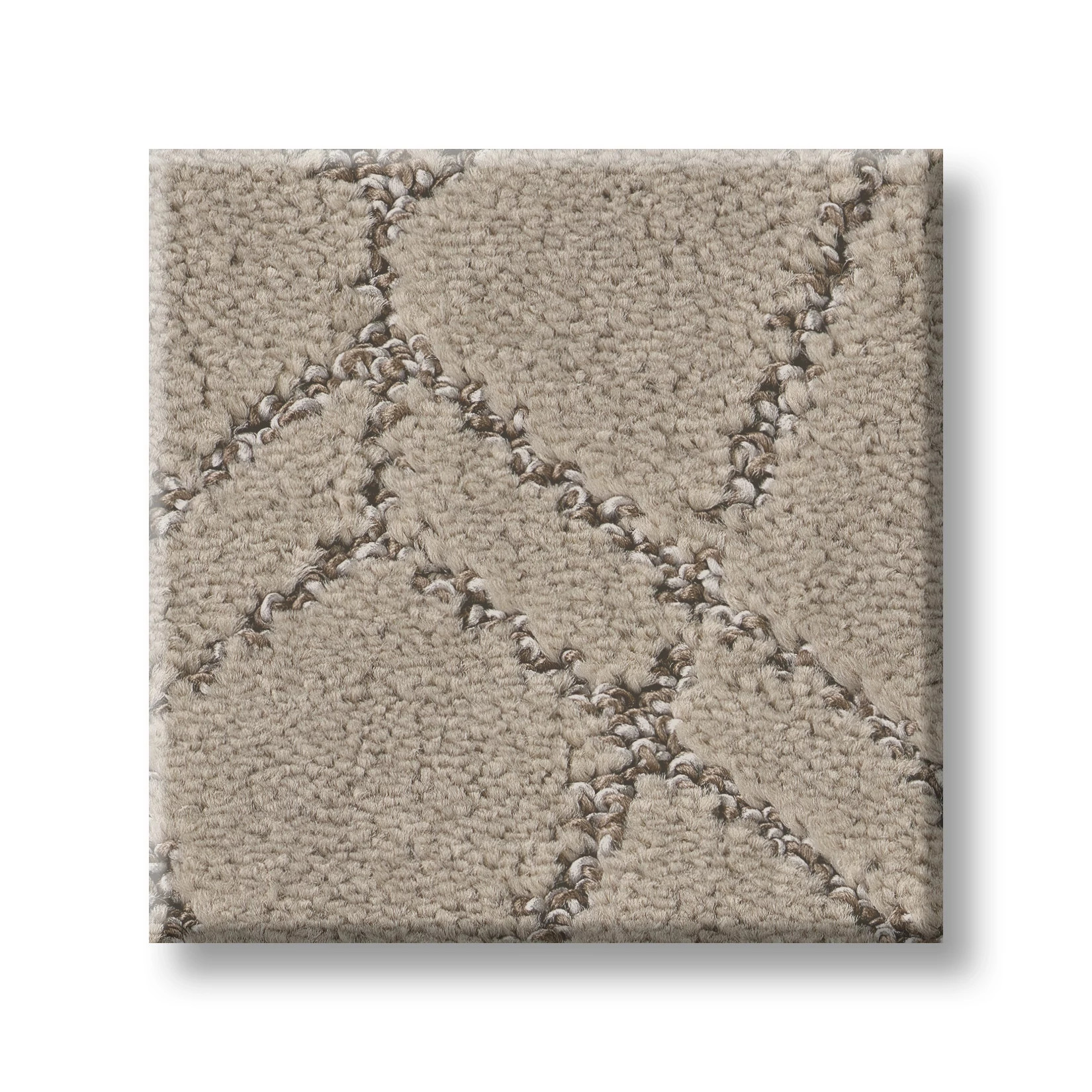 POINT OF VIEW CHIC GREIGE SWATCH